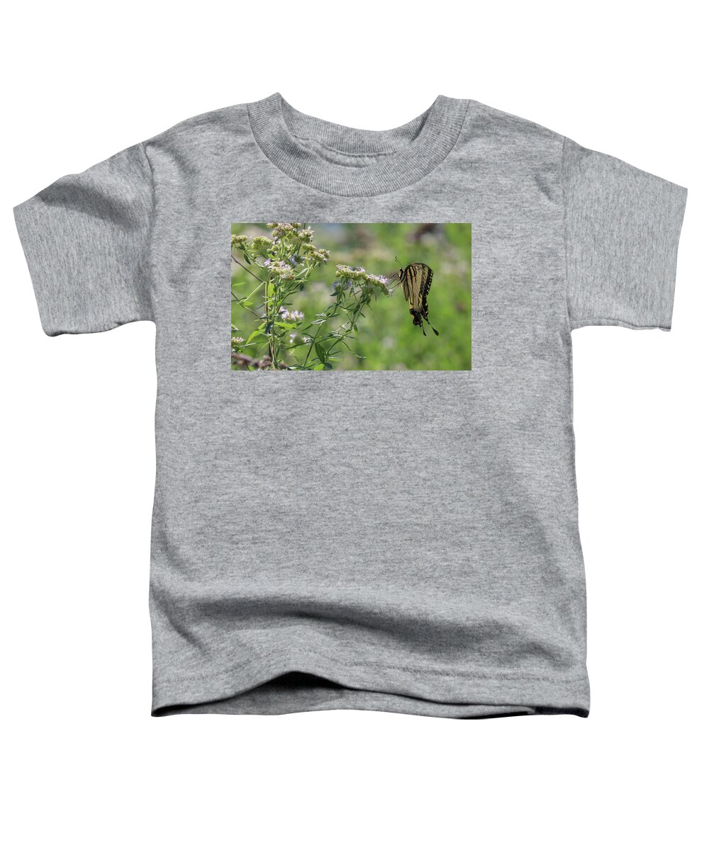 Butterfly Toddler T-Shirt featuring the photograph Gentle Landing by Mary Anne Delgado