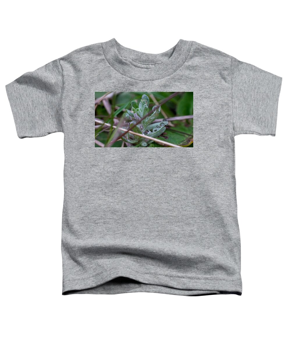 Flower Toddler T-Shirt featuring the photograph Giving Thanks by Ivars Vilums