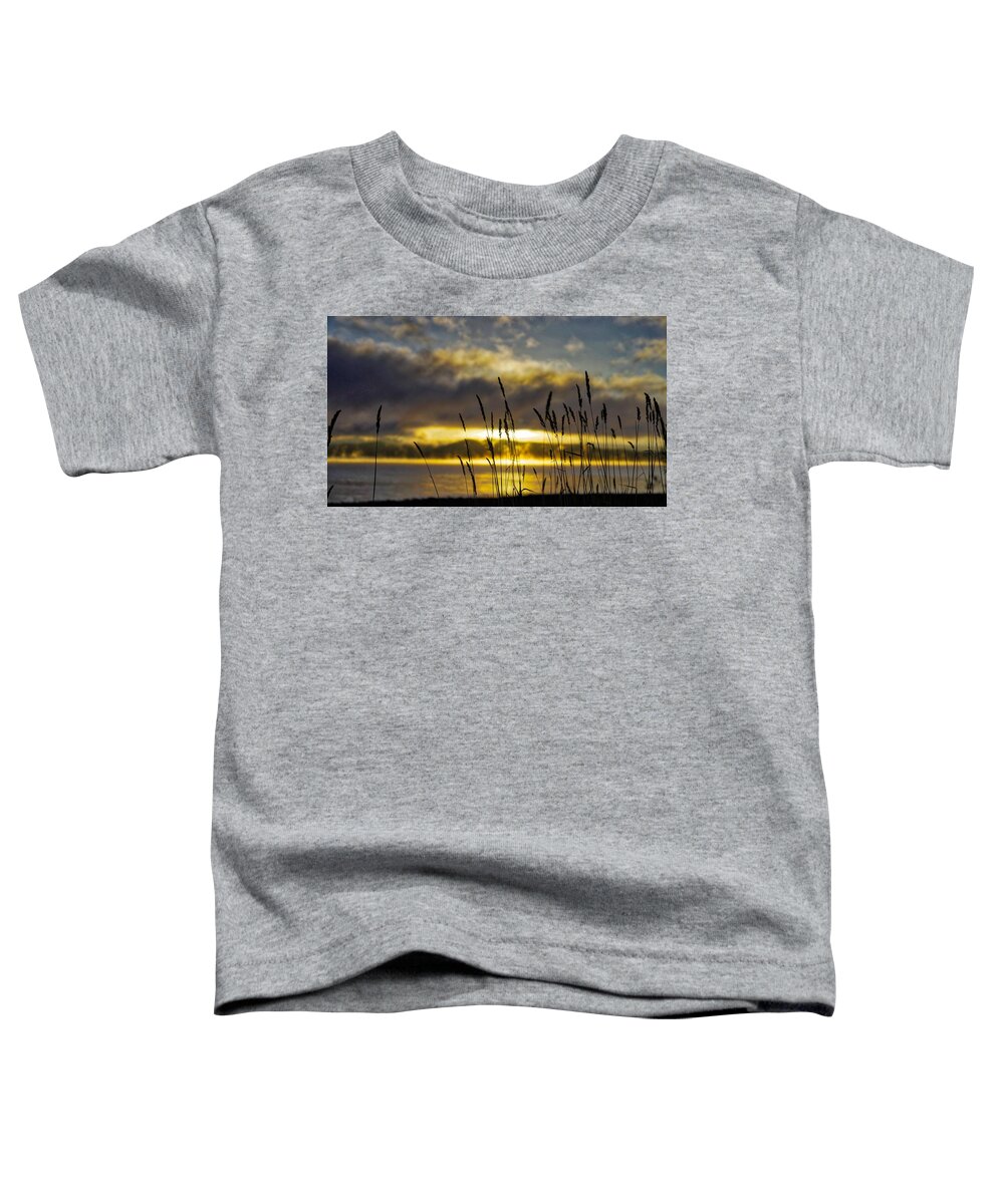 Lake Toddler T-Shirt featuring the photograph Grassy Shoreline Sunrise by Tom Gresham