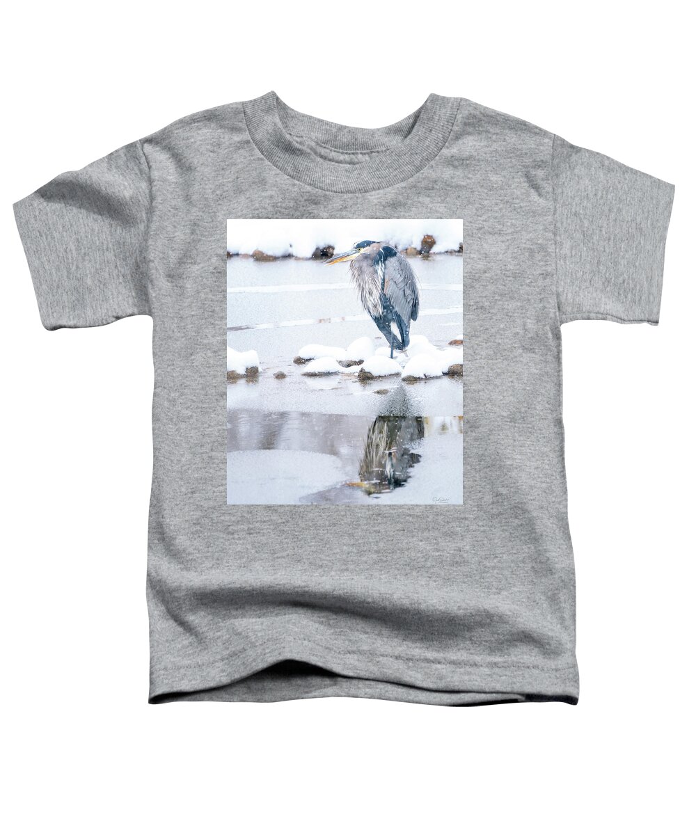 Great Blue Heron Toddler T-Shirt featuring the photograph Great Blue Heron in Snow with Reflection by Judi Dressler