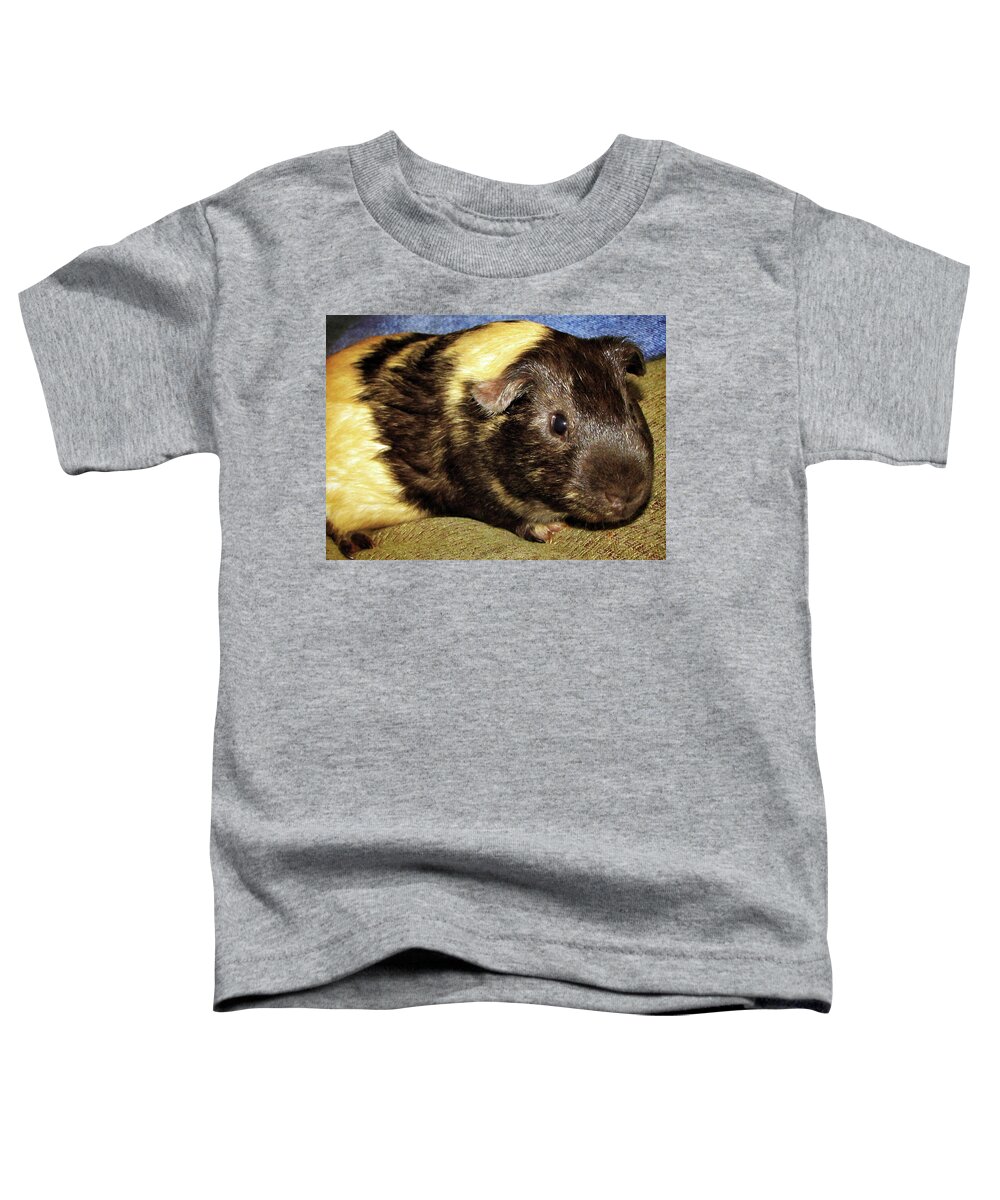 Pet Toddler T-Shirt featuring the photograph Guinea pig by Tikvah's Hope