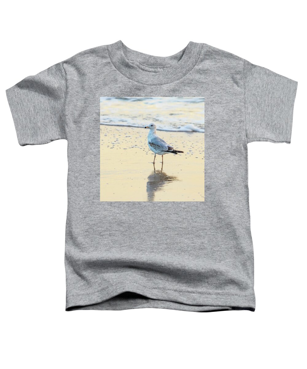 Surf Toddler T-Shirt featuring the photograph Gull's Reflection by Donna Twiford