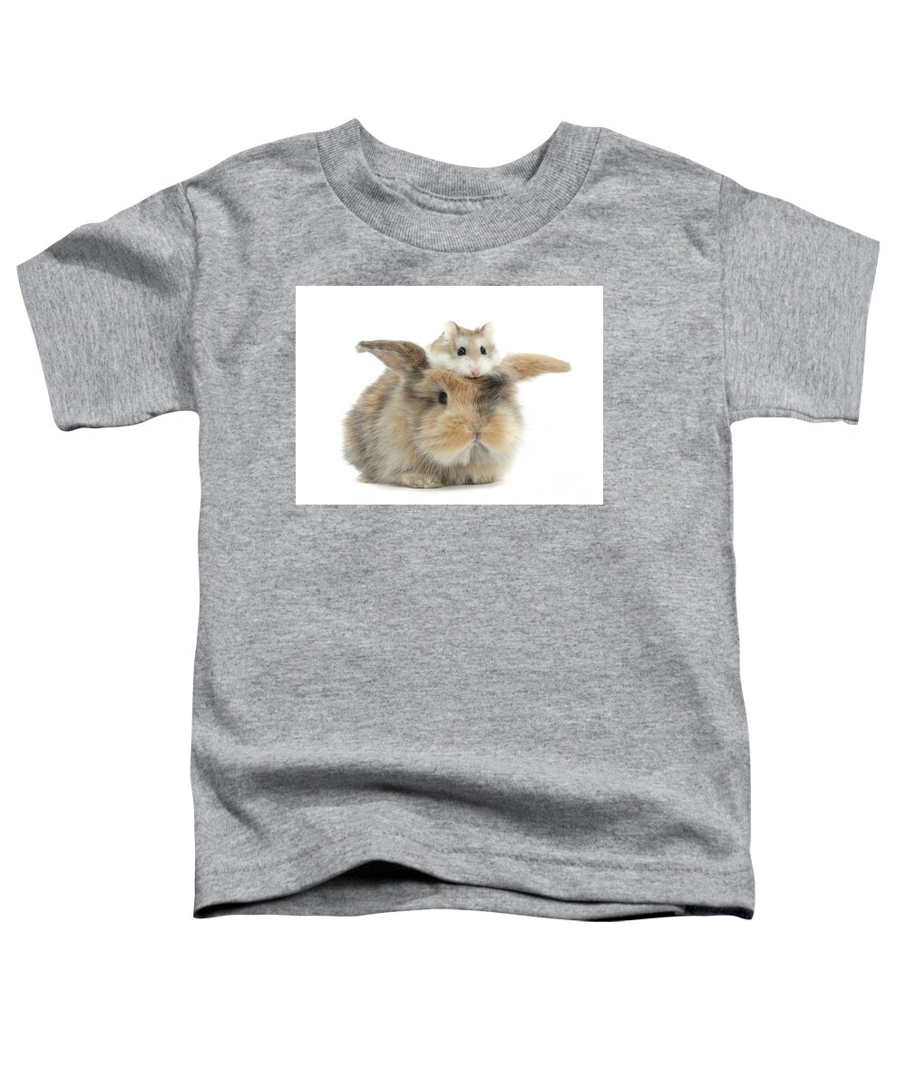 Roborovski Hamster Toddler T-Shirt featuring the photograph Hammy Hair Piece by Warren Photographic