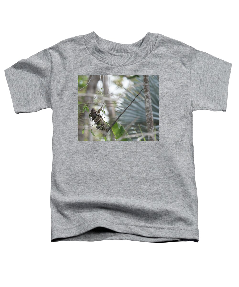 Iguana Toddler T-Shirt featuring the photograph Hang On by Patrick Nowotny