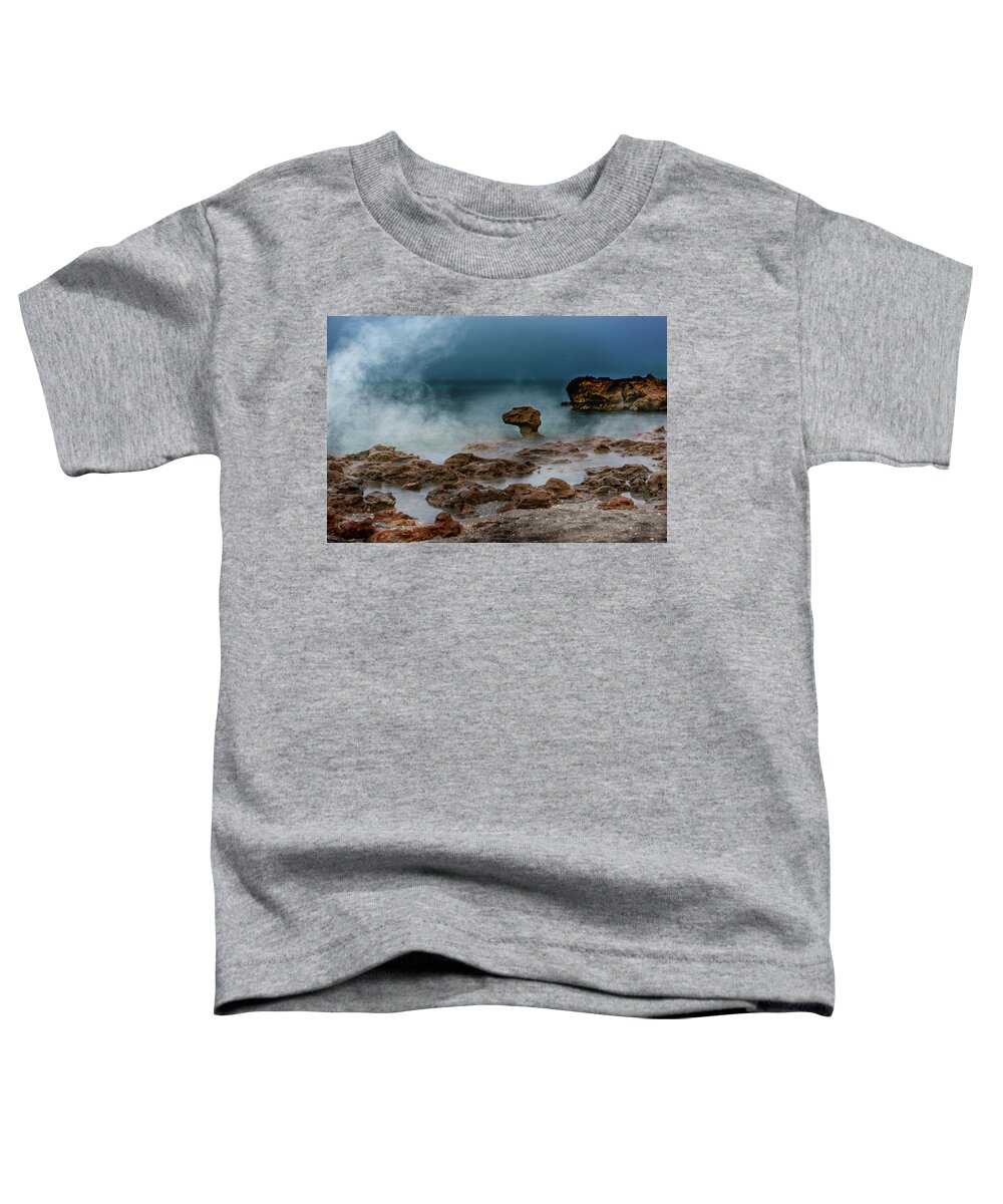 Ocean Toddler T-Shirt featuring the photograph Head of the Dragon by Norman Peay