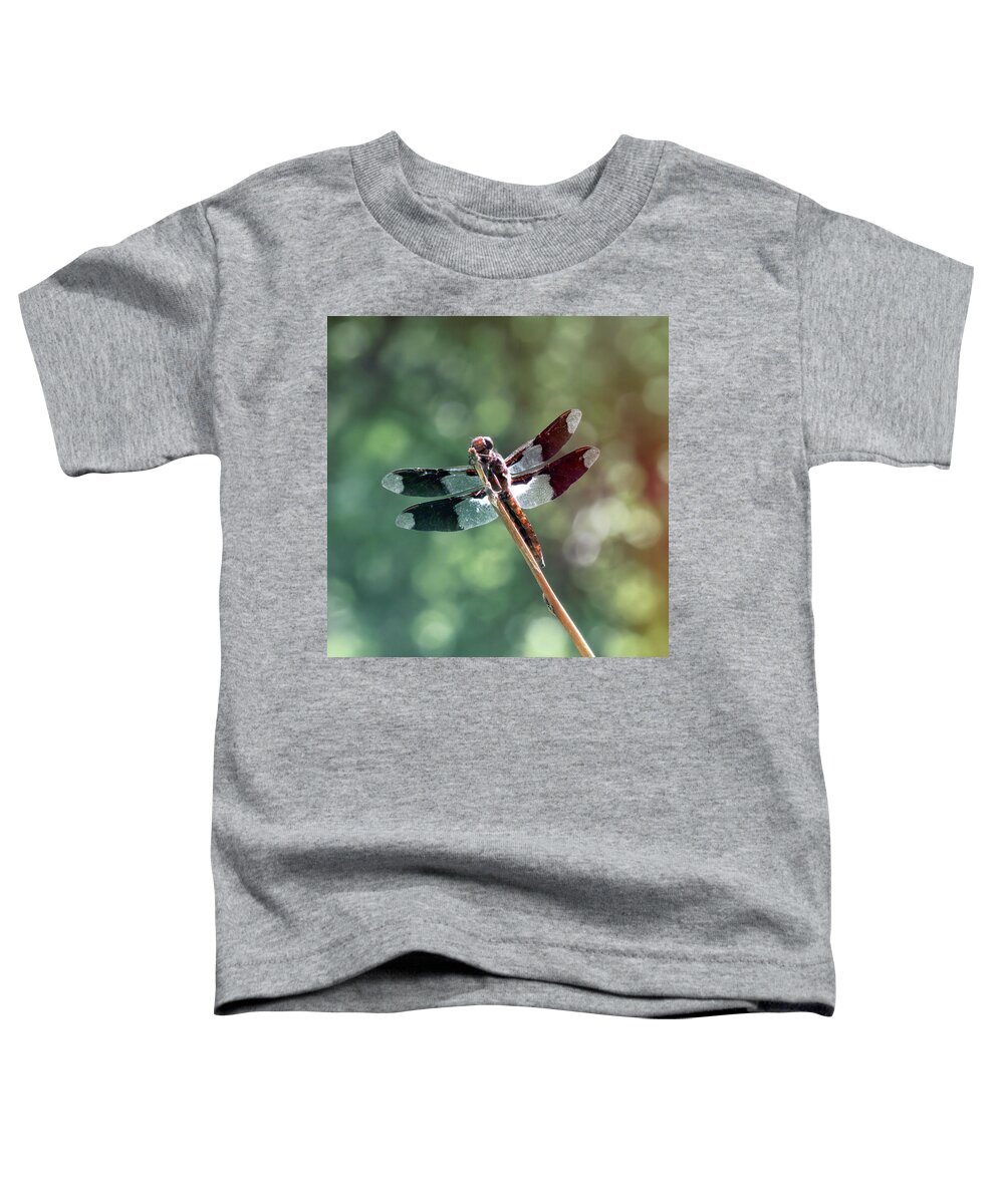 Dragonfly Toddler T-Shirt featuring the photograph Hold on Dragonfly by Tracie Schiebel