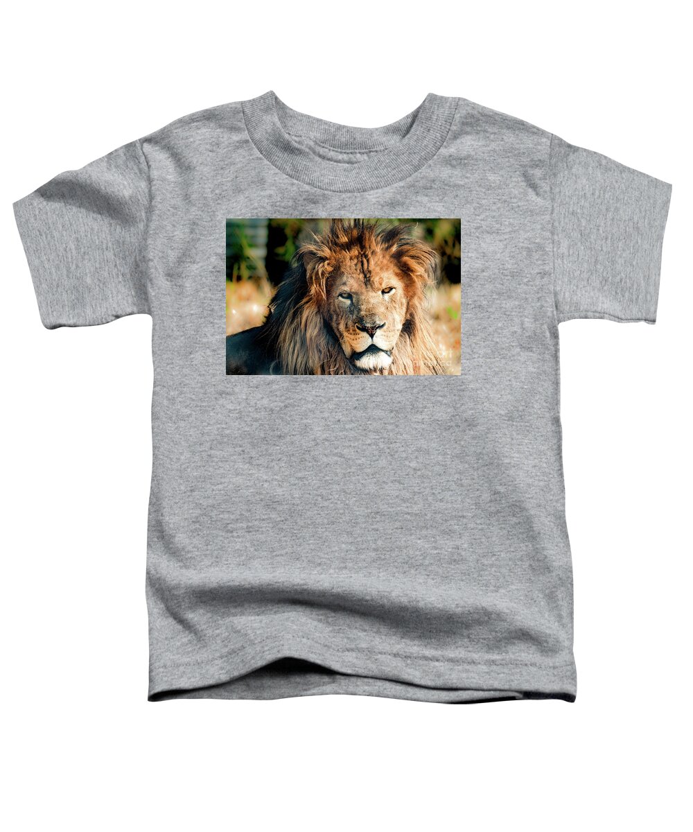 Lion Toddler T-Shirt featuring the photograph If looks can kill by Sam Rino