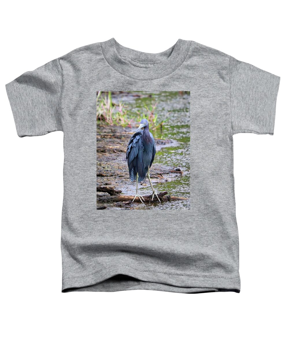 Heron Toddler T-Shirt featuring the photograph Impressive Feathers on Little Blue Heron by Carol Groenen