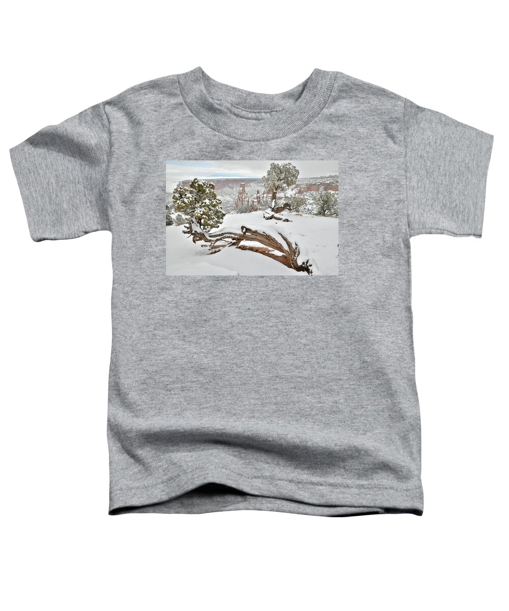 Colorado National Monument Toddler T-Shirt featuring the photograph Independence Canyon of Colorado National Monument by Ray Mathis