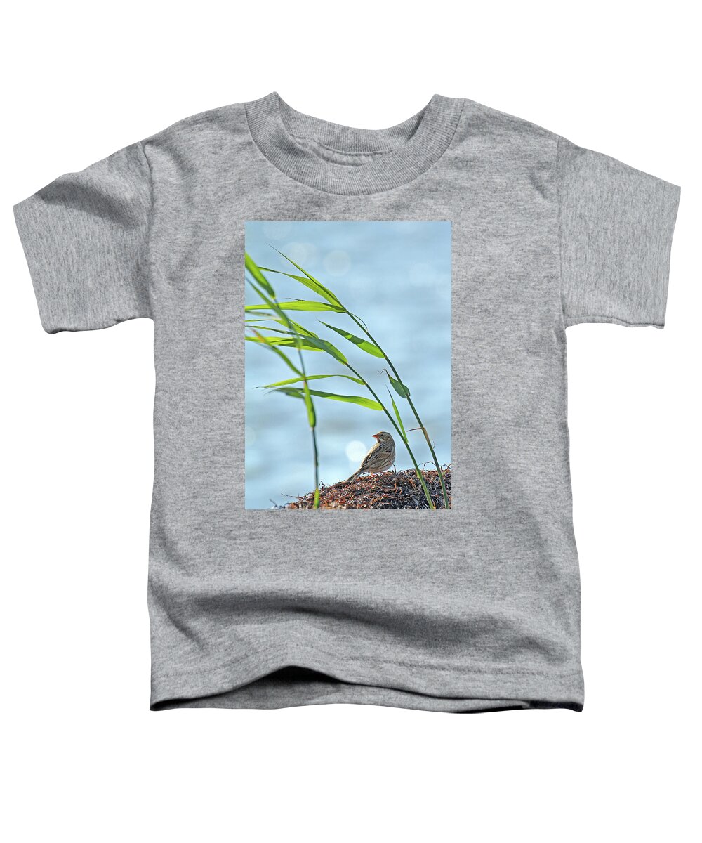New Jersey Toddler T-Shirt featuring the photograph Ipswich Sparrow by Jennifer Robin