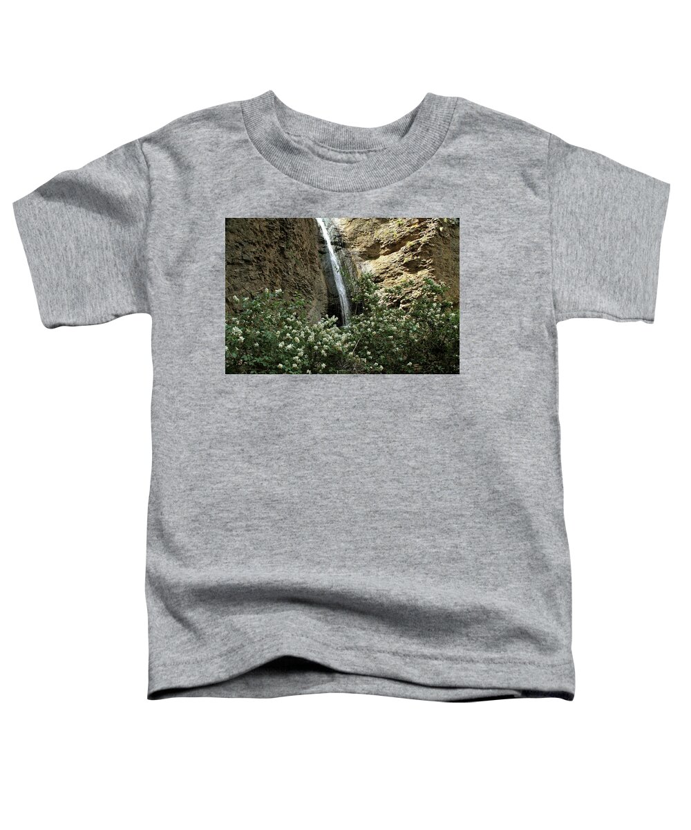 Owyhee Canyonlands Toddler T-Shirt featuring the photograph Jump Creek Falls Canyon by Ed Riche
