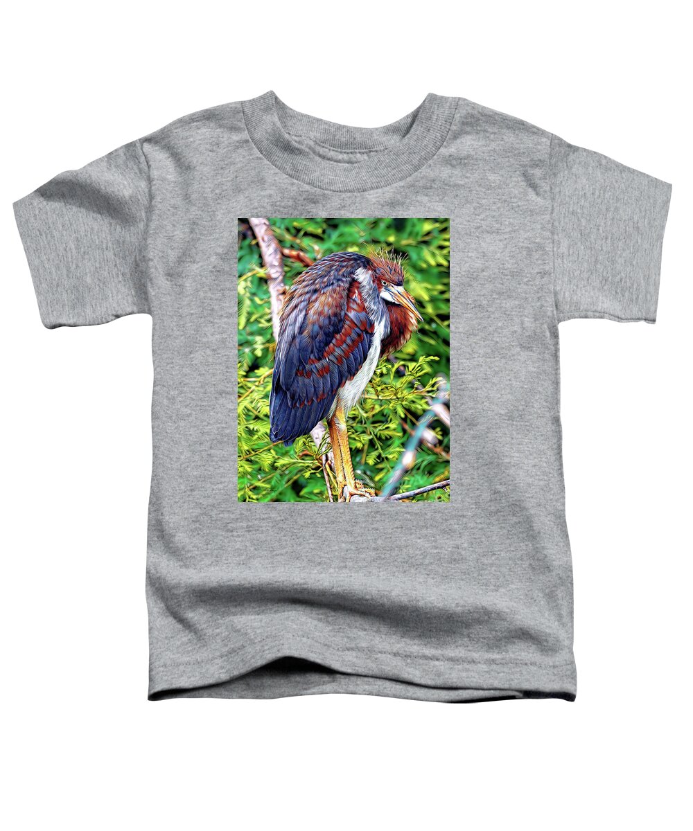 Herons Toddler T-Shirt featuring the mixed media Juvenile Tricolored Heron Art by DB Hayes