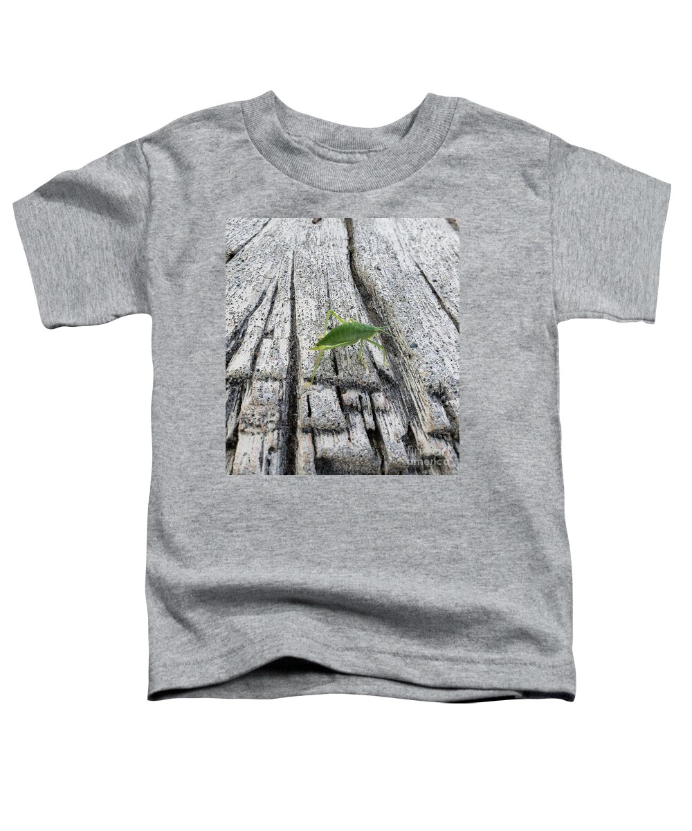 Insect Toddler T-Shirt featuring the photograph Katydid by Anita Adams