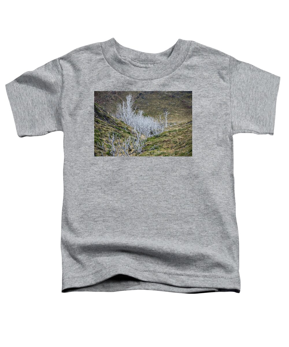 Lenga Toddler T-Shirt featuring the photograph Lenga Ghosts by Mark Hunter