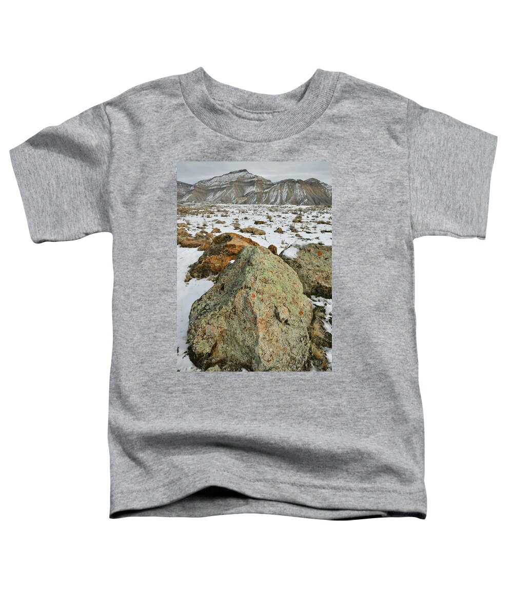 Book Cliffs Toddler T-Shirt featuring the photograph Lichen Covered Boulders Beneath Book Cliffs by Ray Mathis