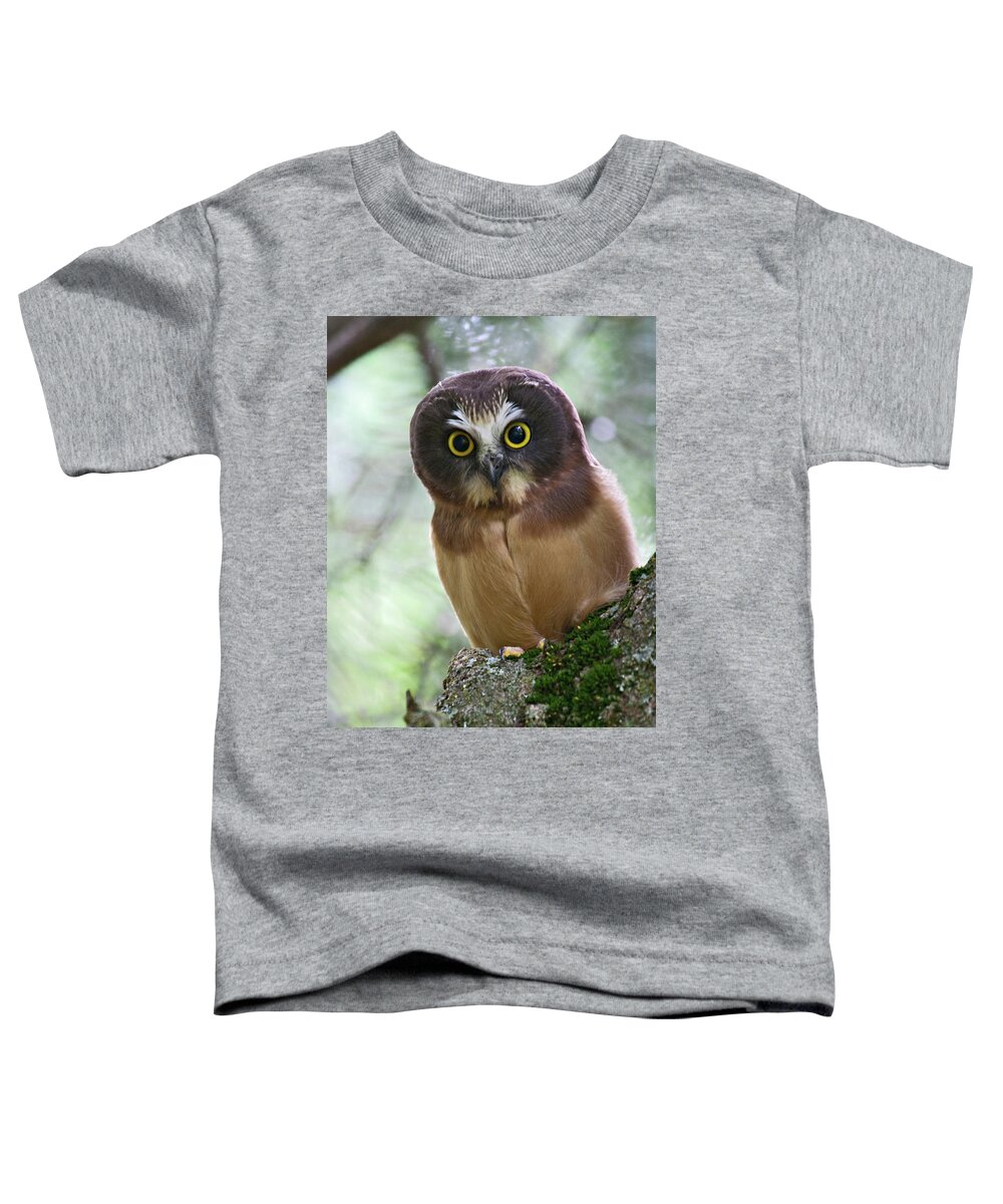Birds Toddler T-Shirt featuring the photograph Little Owl by Wesley Aston