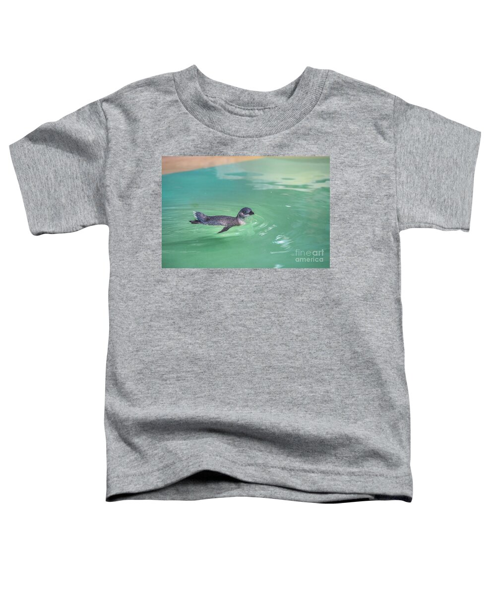 Penguin Toddler T-Shirt featuring the photograph Little Penguin swimming by Benny Marty