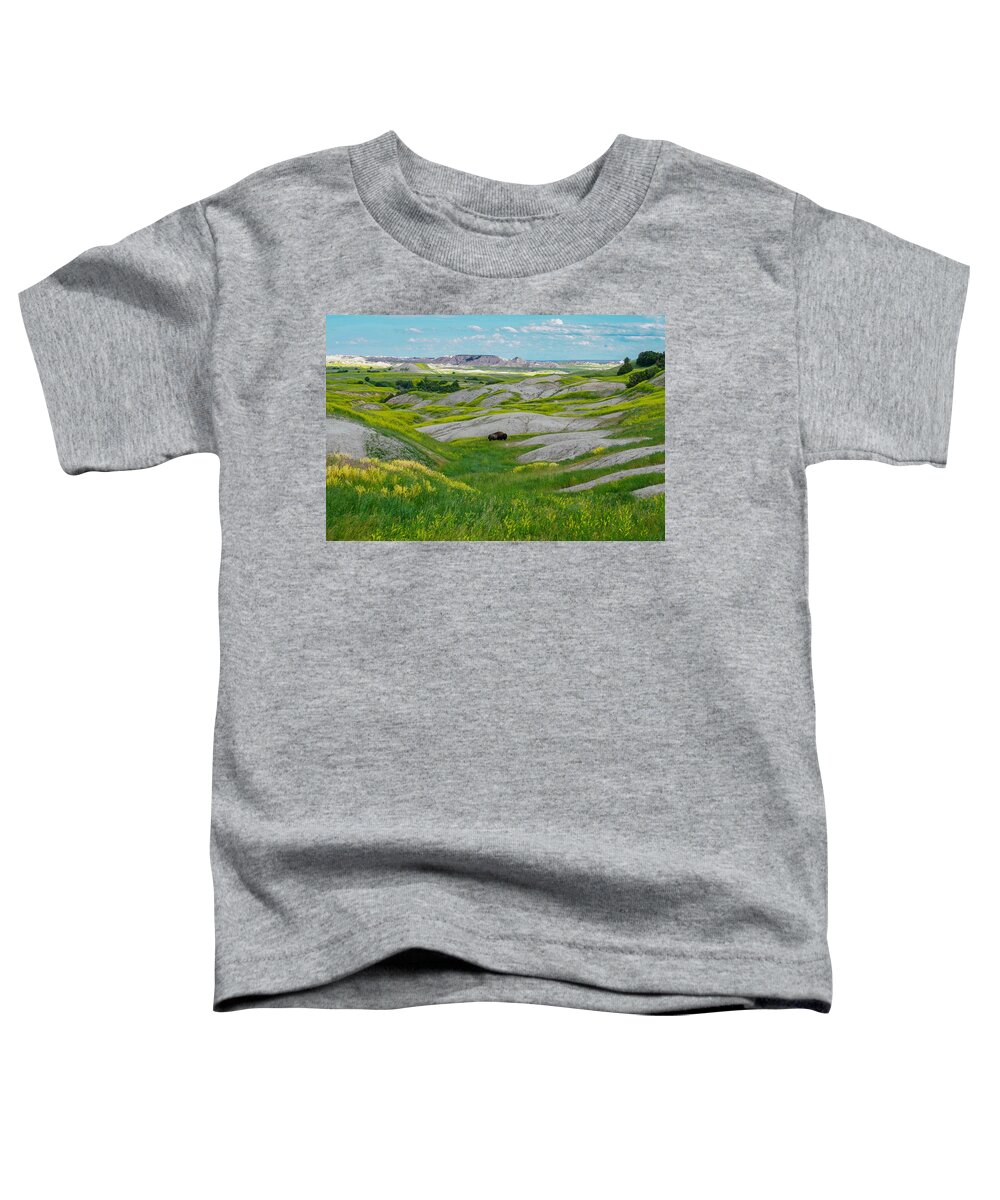 Landscape Toddler T-Shirt featuring the photograph Lone Buffalo by Susan Rydberg