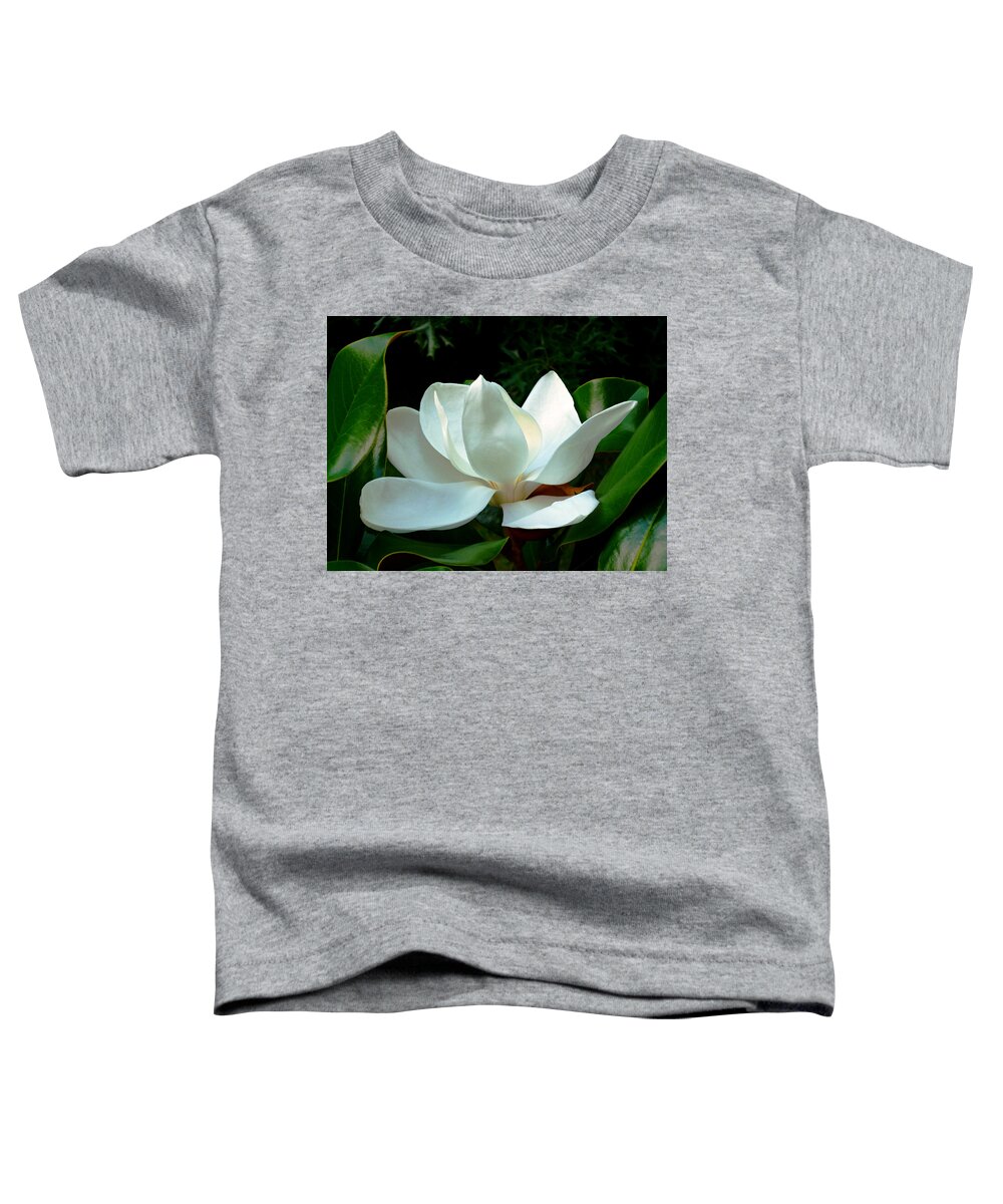 Southern Magnolia Toddler T-Shirt featuring the photograph Magnolia Closeup Bright by Mike McBrayer
