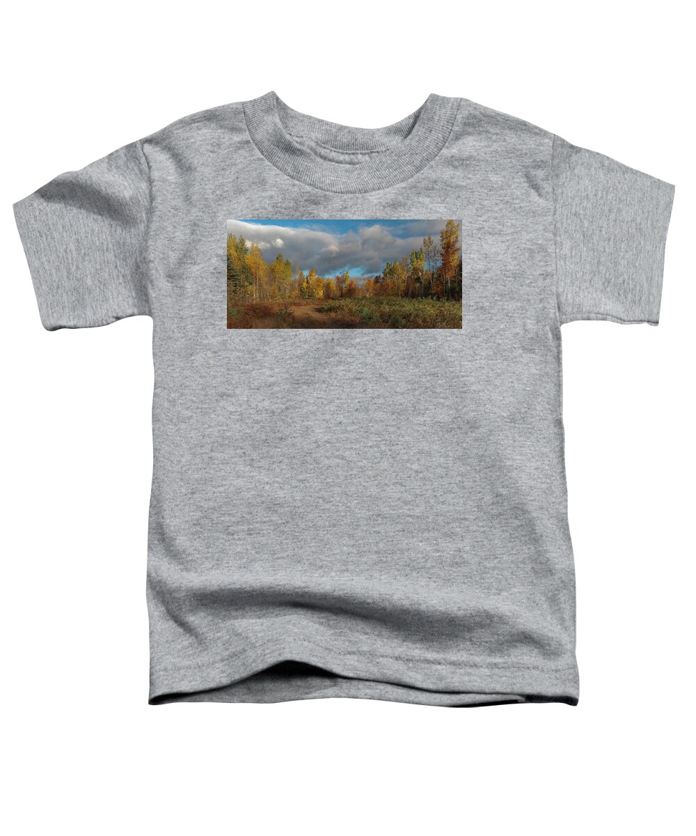 Maine Toddler T-Shirt featuring the photograph Maine Wilderness Color 2 by Rick Hartigan