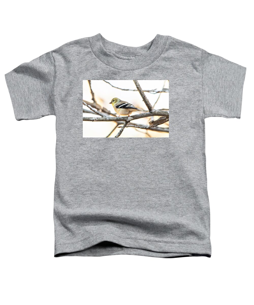 American Goldfinch Toddler T-Shirt featuring the photograph Male Goldfinch in Winter by Mary Ann Artz