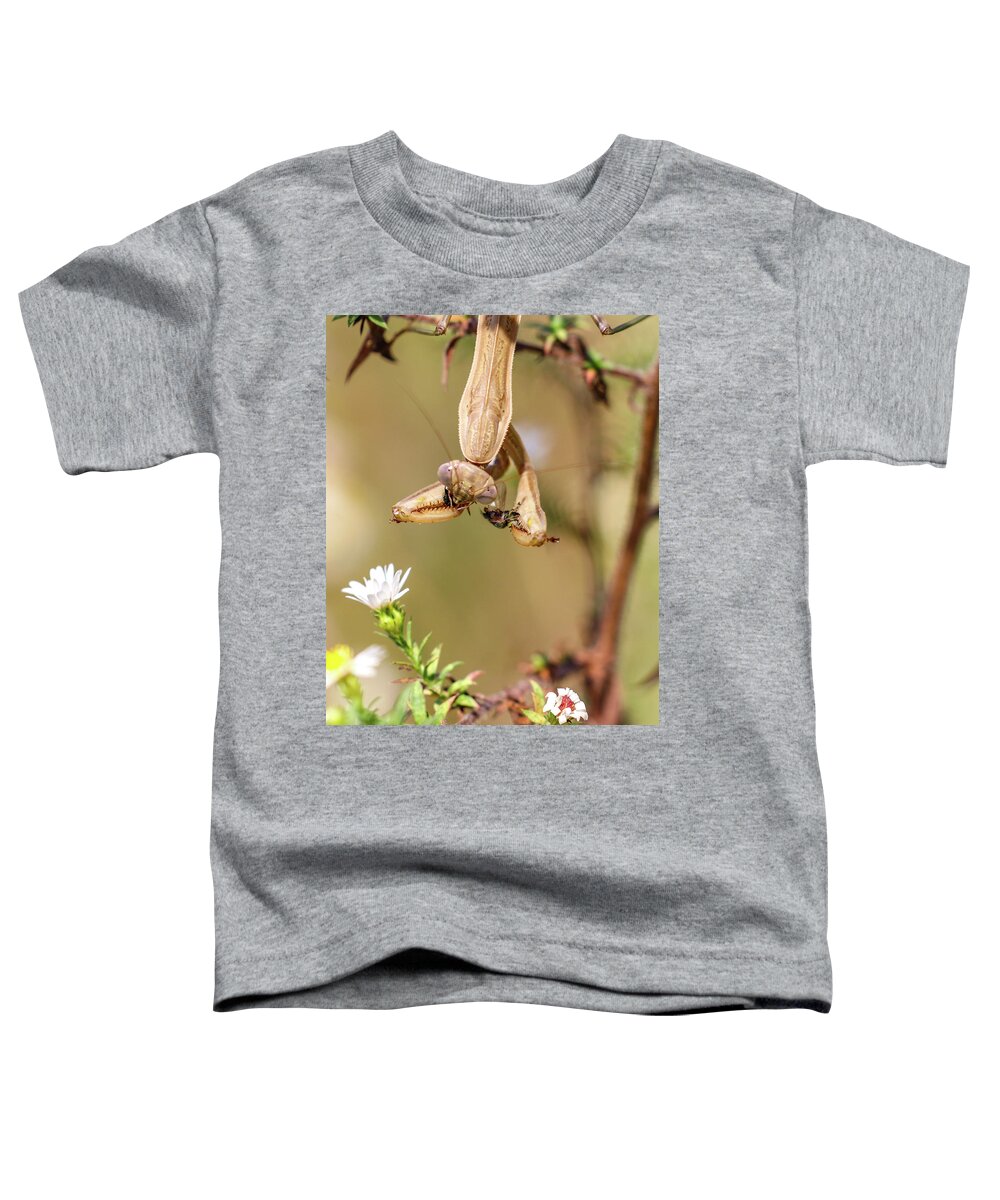 Mantis Toddler T-Shirt featuring the photograph Mantis and Fly by Michelle Wittensoldner