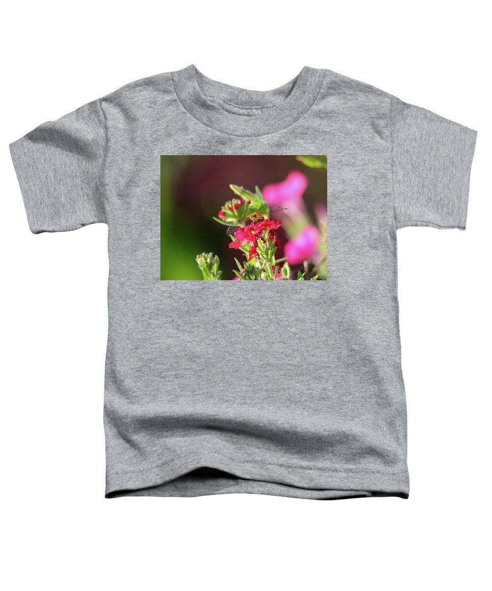 Meadow Hawk Dragonfly Toddler T-Shirt featuring the photograph Meadow Hawk Dragonfly 1 by Brook Burling