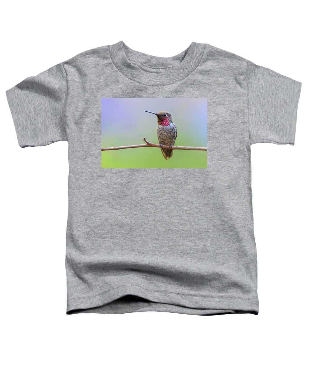 Animal Toddler T-Shirt featuring the photograph Midsummer Night's Dream I - Male Anna's Hummingbird by Briand Sanderson