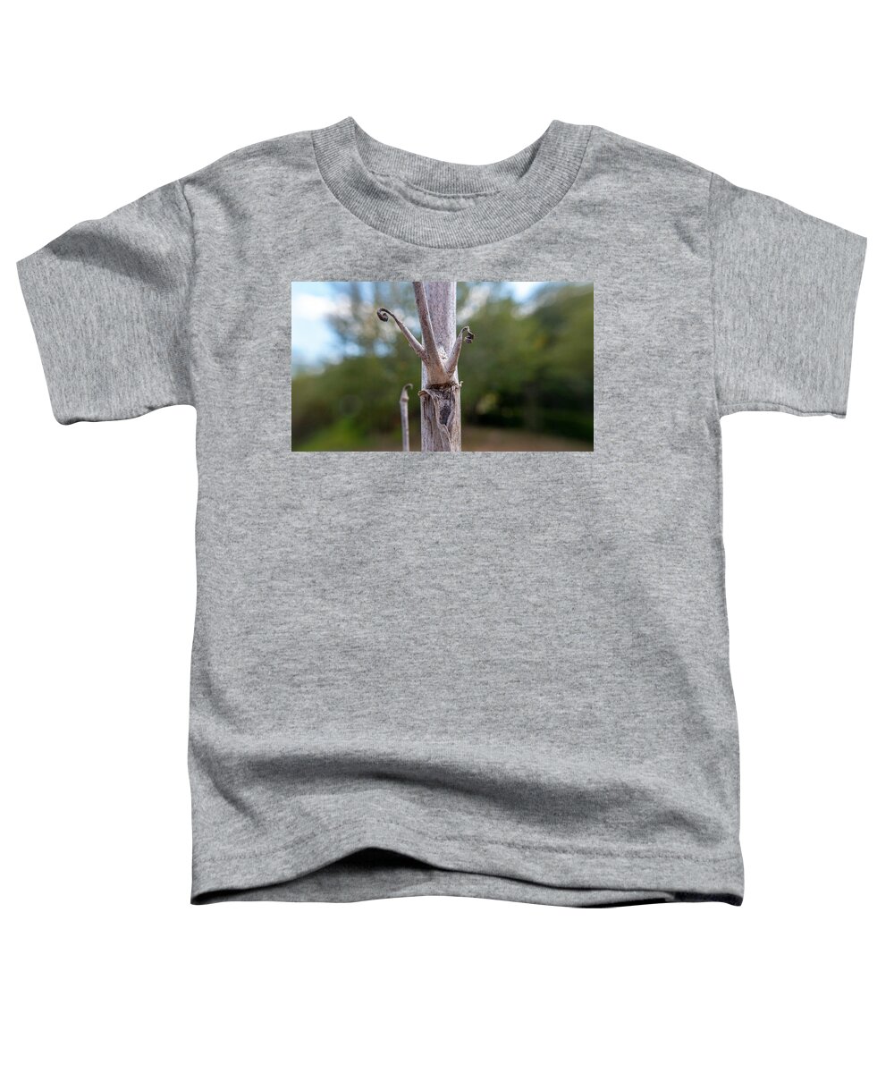 Tree Toddler T-Shirt featuring the photograph Mister Stick Man by Ivars Vilums