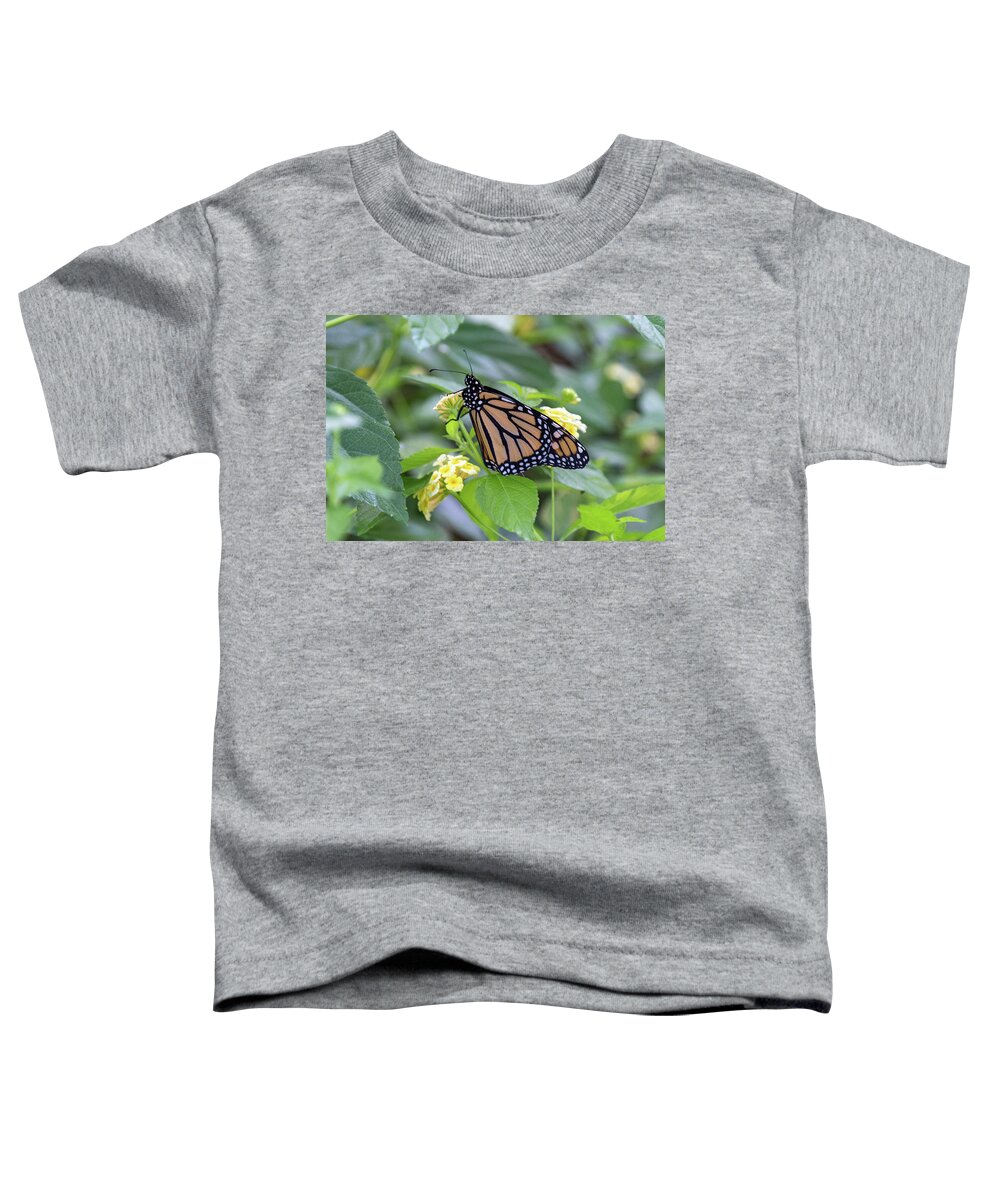 Monarch Toddler T-Shirt featuring the photograph Monarch Moment by Patricia Schaefer