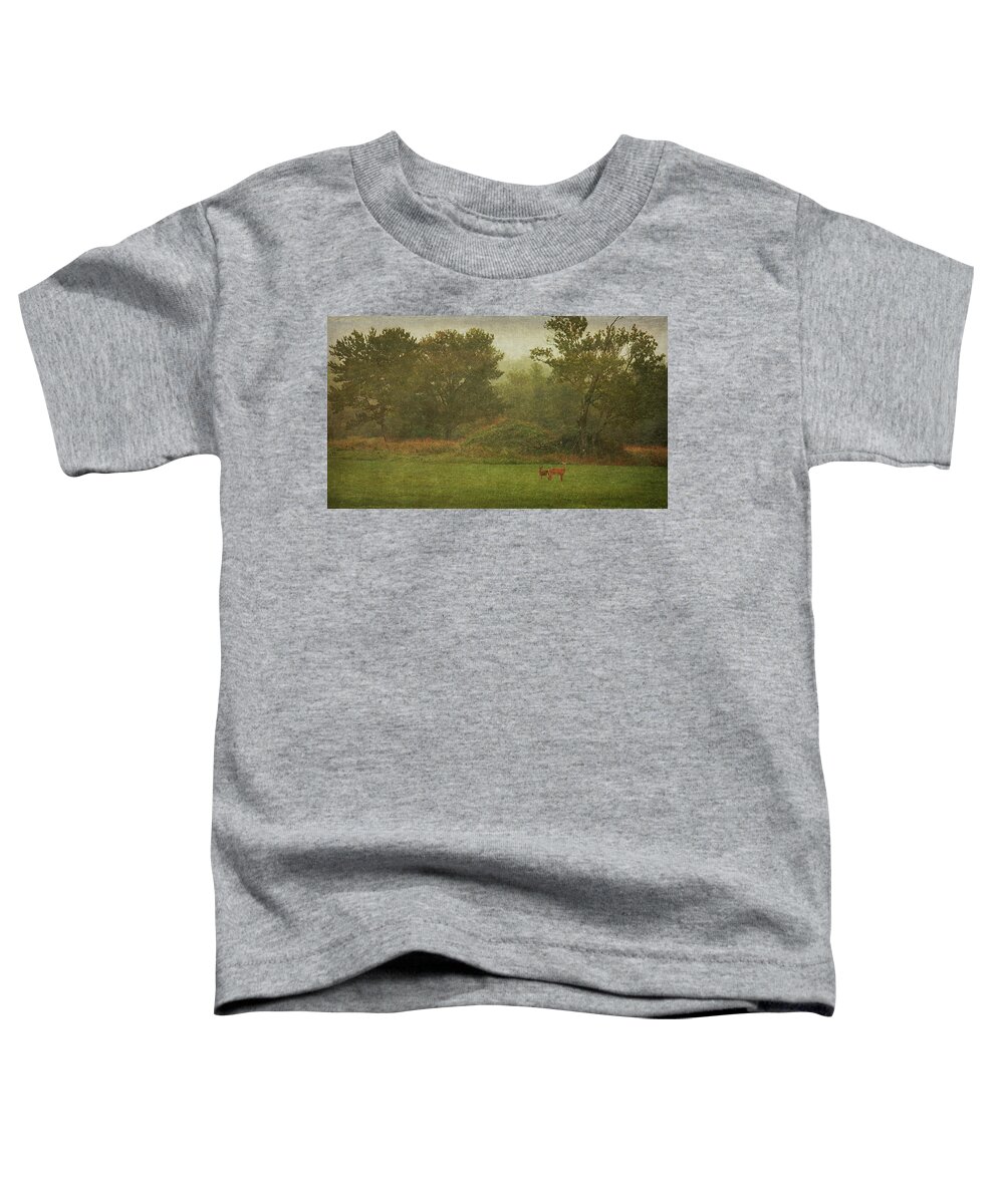 Morning Fog Toddler T-Shirt featuring the photograph Morning Fog by Cindi Ressler