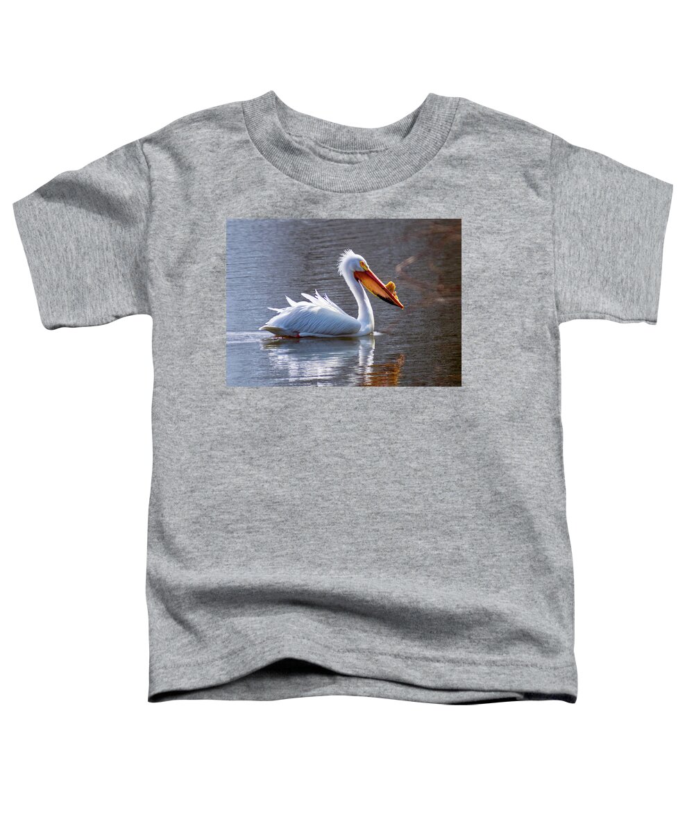 American White Pelican Toddler T-Shirt featuring the photograph Morning Swim by Phil S Addis