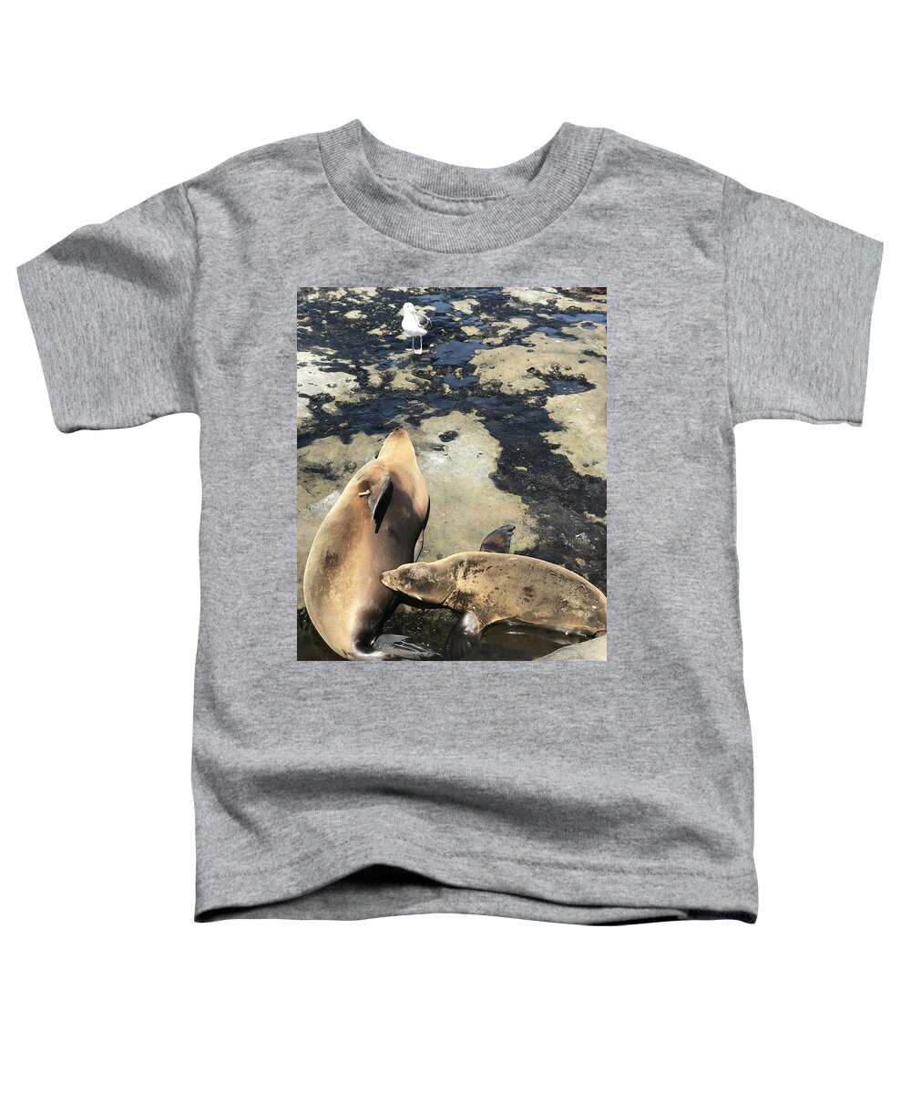 Sea Lions Toddler T-Shirt featuring the photograph Mother and Child by Lauren Serene