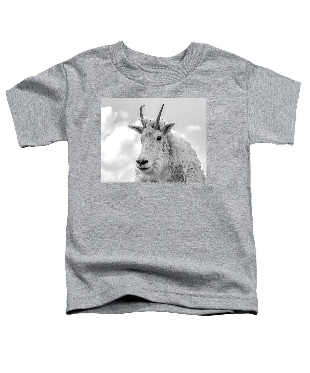 Mountain Goat Toddler T-Shirt featuring the photograph Mountain Goat in Black and White 8x10 by Mindy Musick King