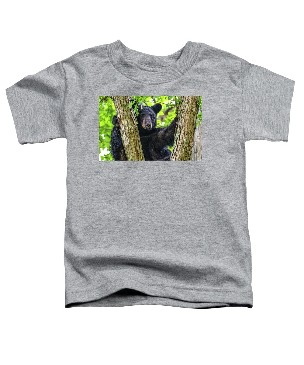 American Black Bear Toddler T-Shirt featuring the photograph Not All Bears Are Created Equal by Marcy Wielfaert
