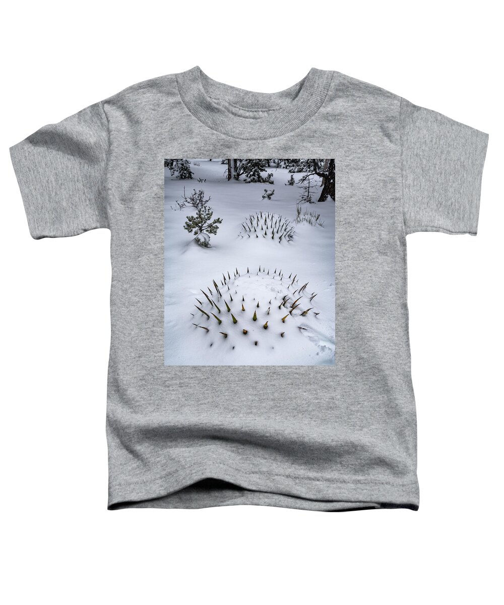 Arizona Toddler T-Shirt featuring the photograph Not Something you See Everyday by Will Wagner