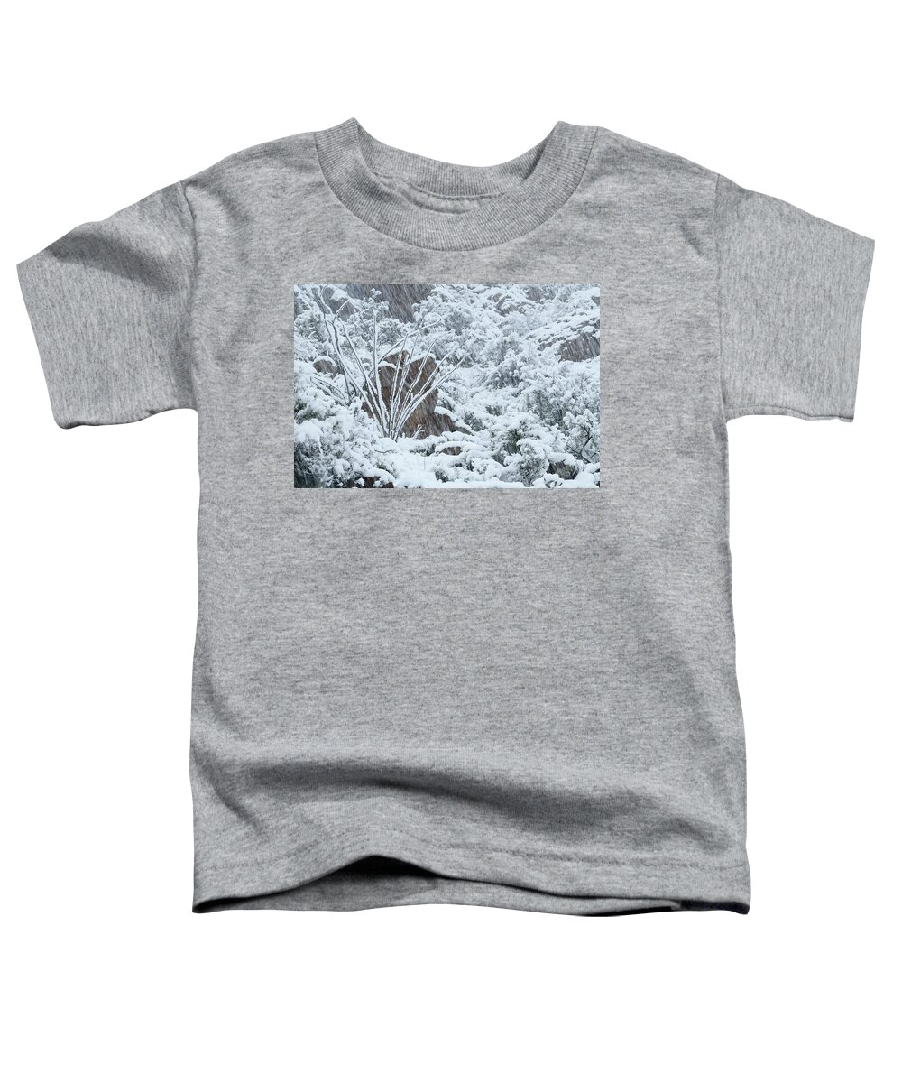 Landscape Toddler T-Shirt featuring the photograph Ocotillo in Snowstorm by James Covello