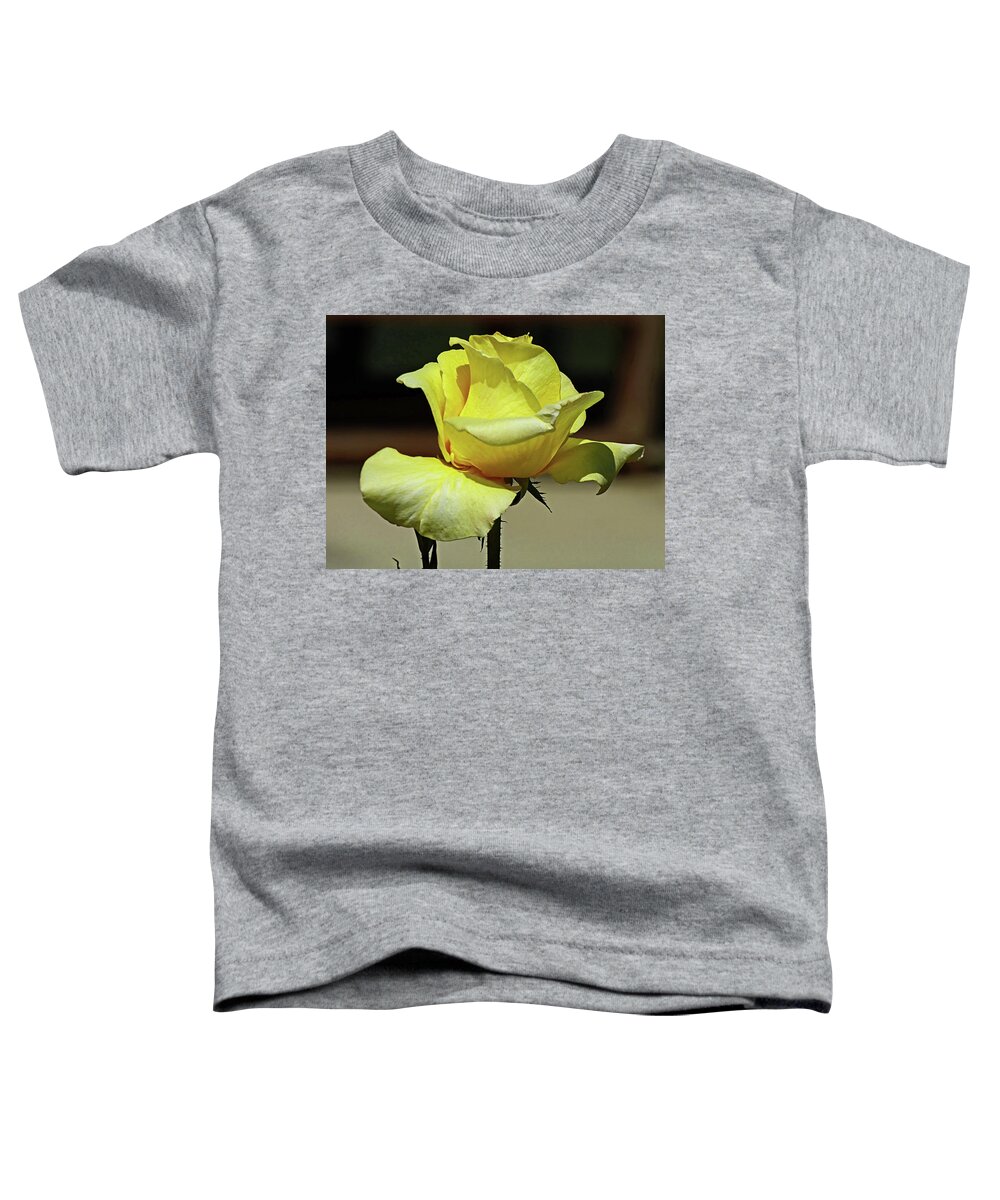 Rose Toddler T-Shirt featuring the photograph One More Yellow Rose by Lyuba Filatova