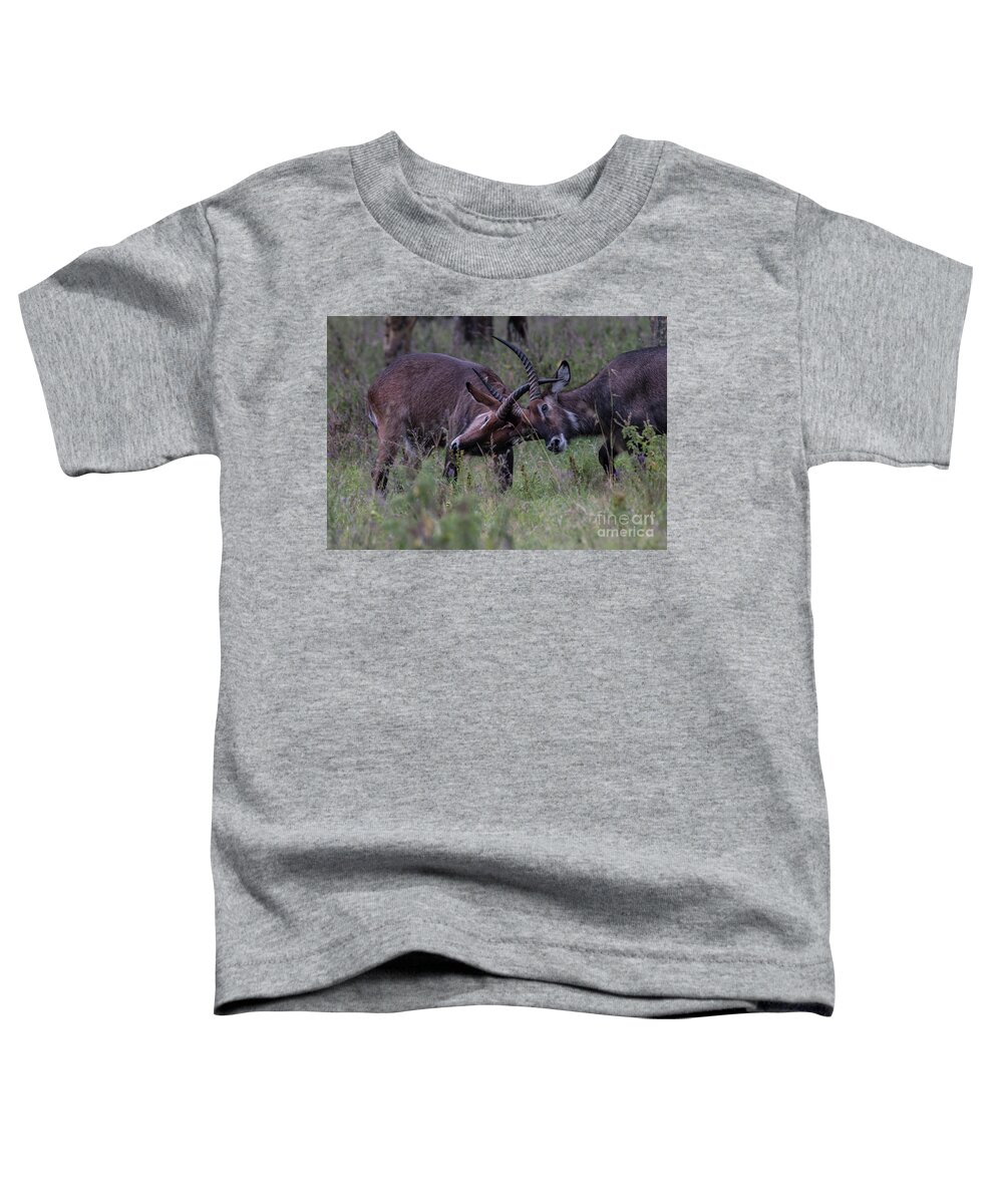 Waterbuck Toddler T-Shirt featuring the photograph Waterbuck Antlers 6835 by Steve Somerville