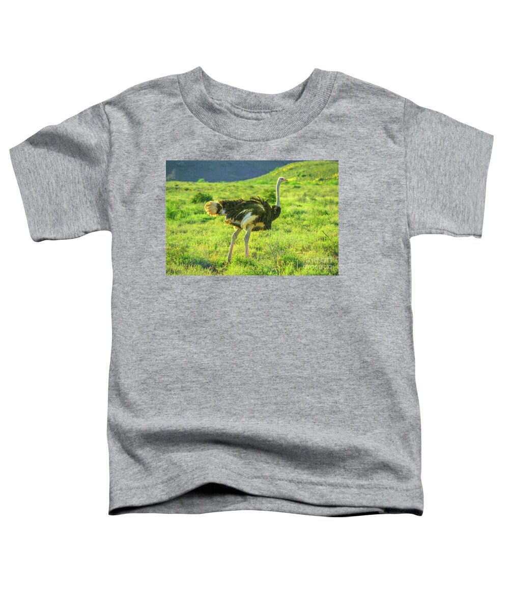 Ostrich Toddler T-Shirt featuring the photograph Ostrich on Karoo grass by Benny Marty