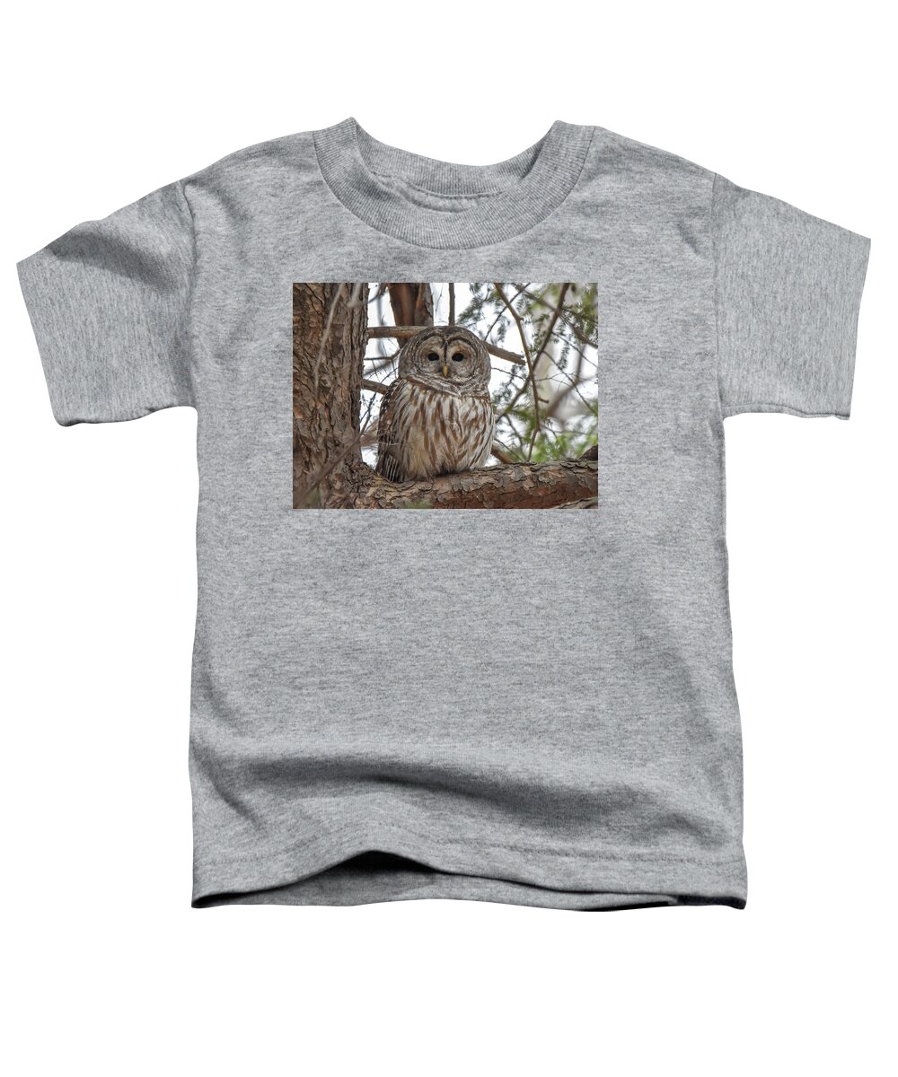 Owl Toddler T-Shirt featuring the photograph Owl in Tree by Michelle Wittensoldner
