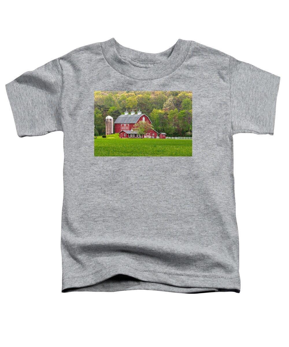 Barn Toddler T-Shirt featuring the photograph Pennsylvannia Dutch by Rod Best