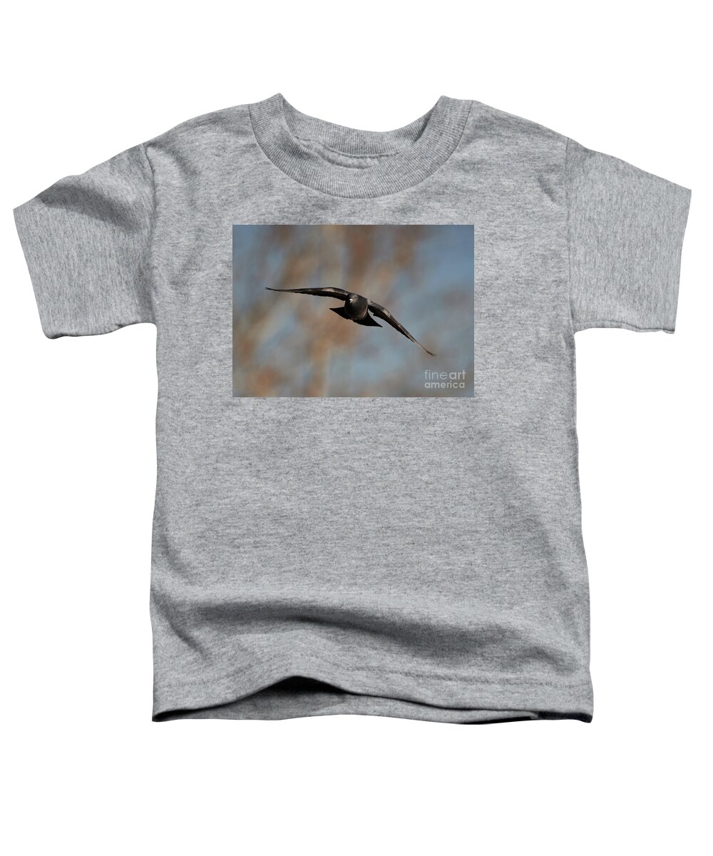 Pigeon Toddler T-Shirt featuring the photograph Pigeon Inflight by Robert WK Clark