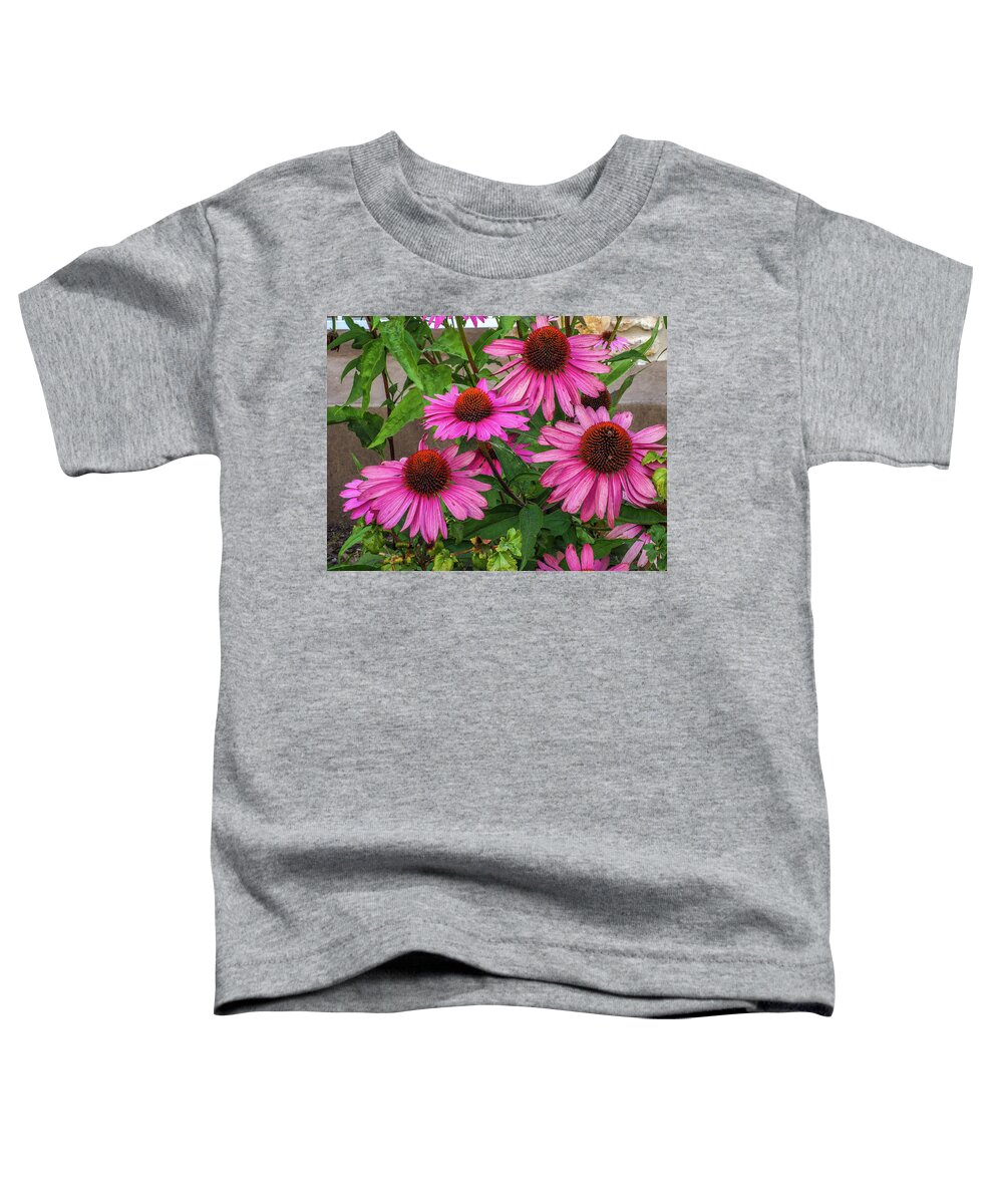 Pink Toddler T-Shirt featuring the photograph Pink Cone Flowers by James C Richardson