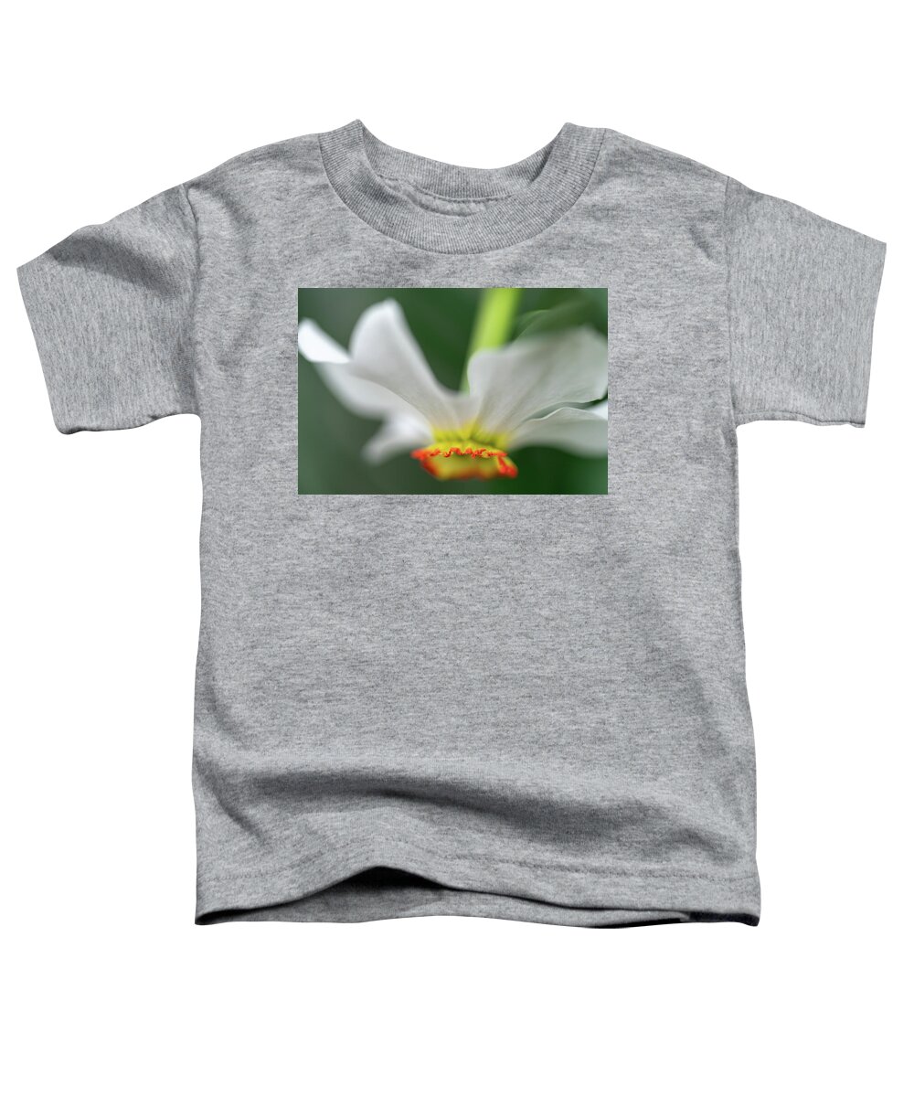 Bloom Toddler T-Shirt featuring the photograph Poet's Daffodil by Robert FERD Frank