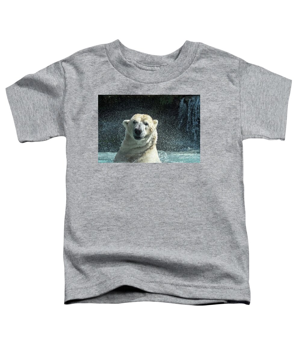 Polar Bear Toddler T-Shirt featuring the photograph Polar Bear Shaking Head Dry by Arterra Picture Library