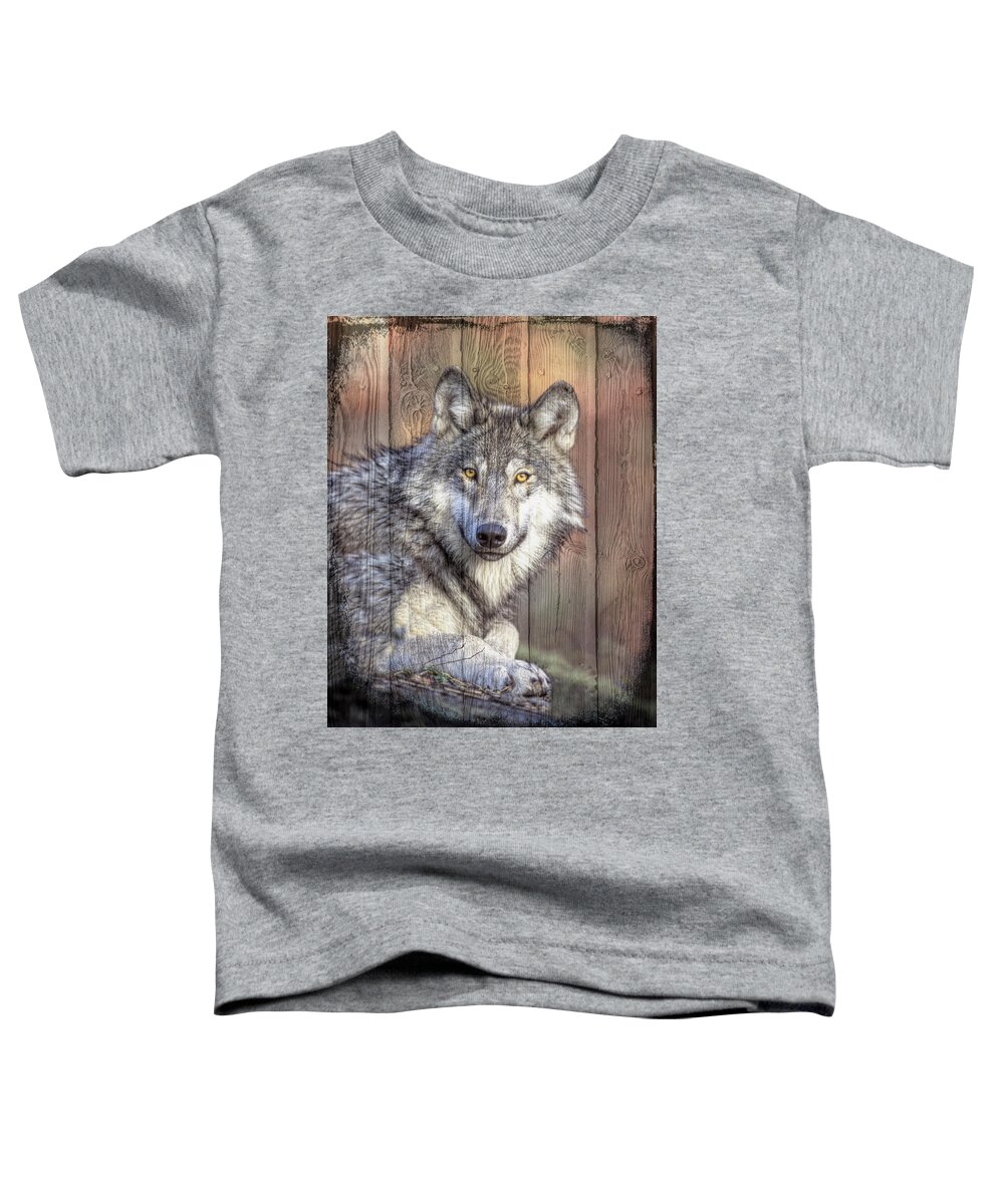 Animals Toddler T-Shirt featuring the photograph Portrait of a Wolf by Debra and Dave Vanderlaan