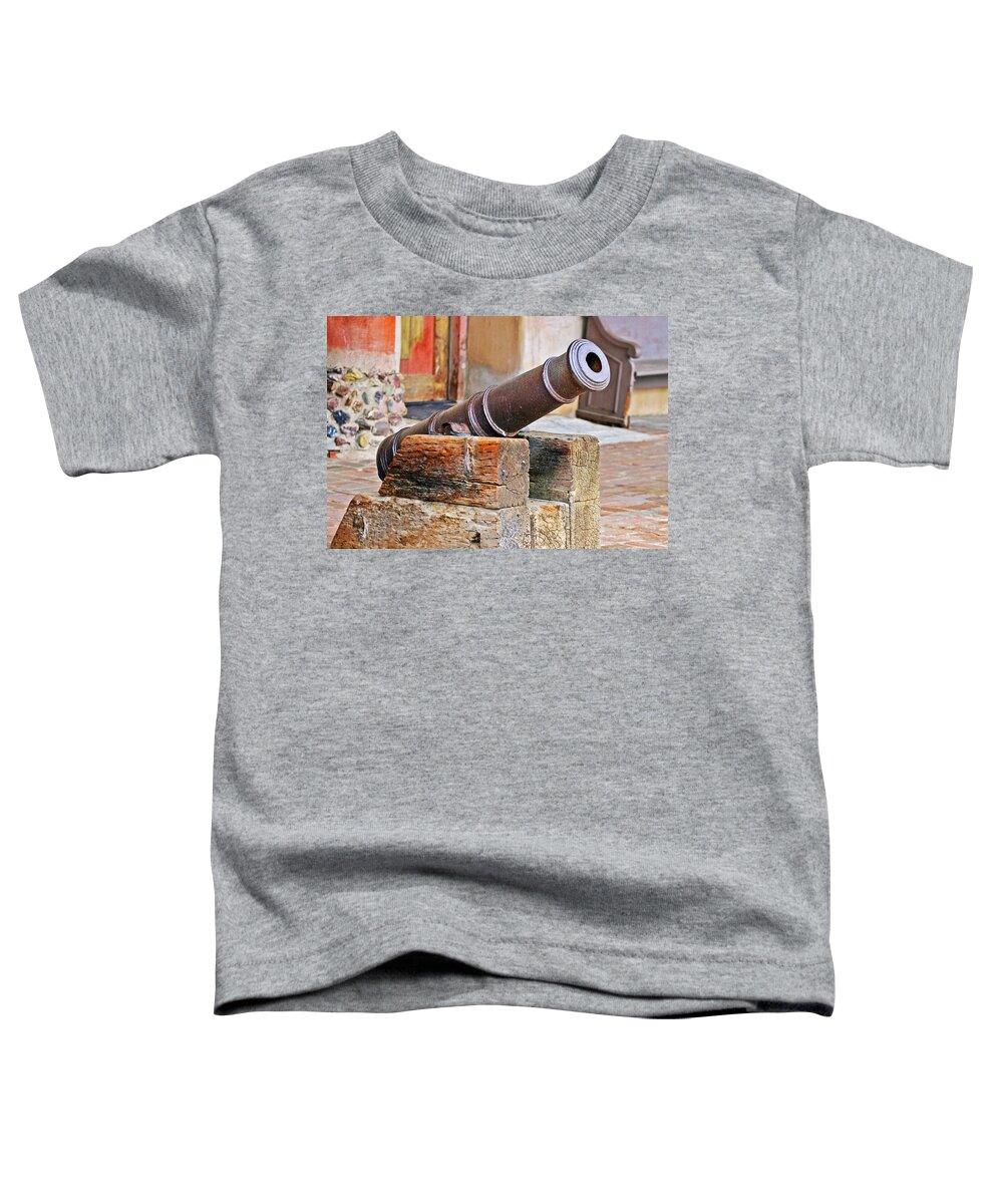 Canon Toddler T-Shirt featuring the photograph Protecting the Mission by Anthony Jones