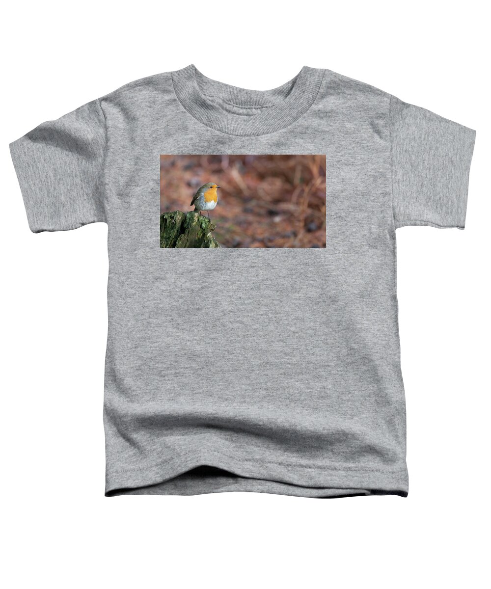 Robin Toddler T-Shirt featuring the photograph Red Robin in the woods at Autumn by Anita Nicholson
