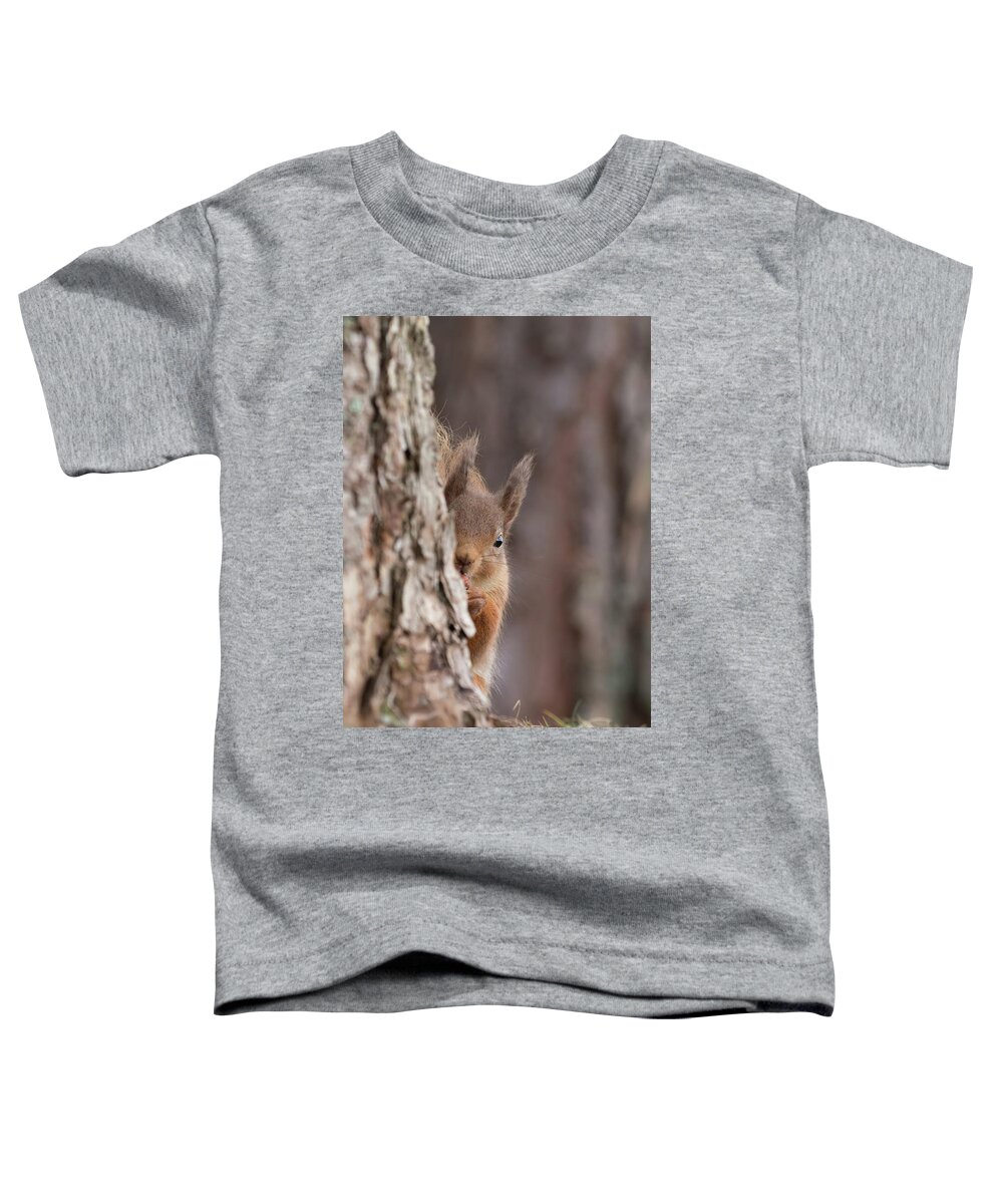 Red Toddler T-Shirt featuring the photograph Red Squirrel Peering Round A Tree by Pete Walkden